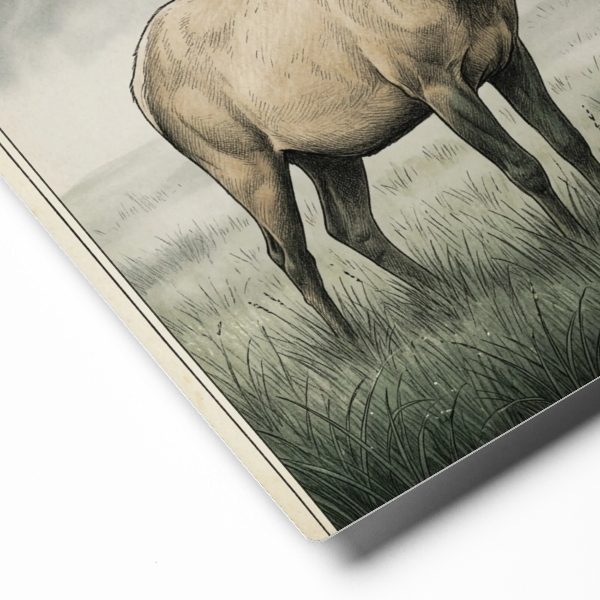Elk in Misty Clearing