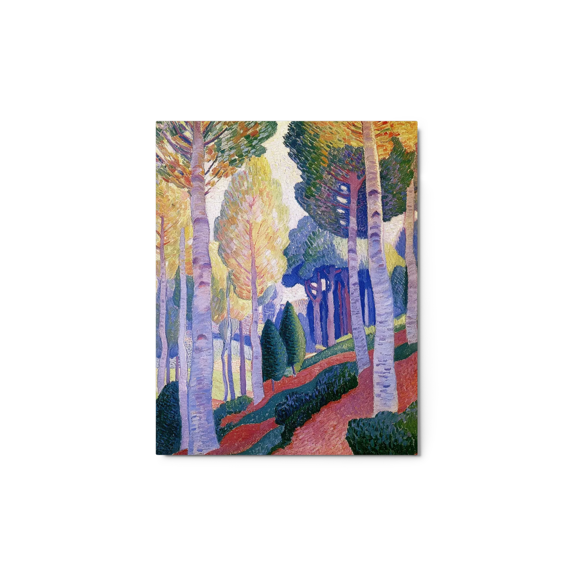 The Sunlit Grove