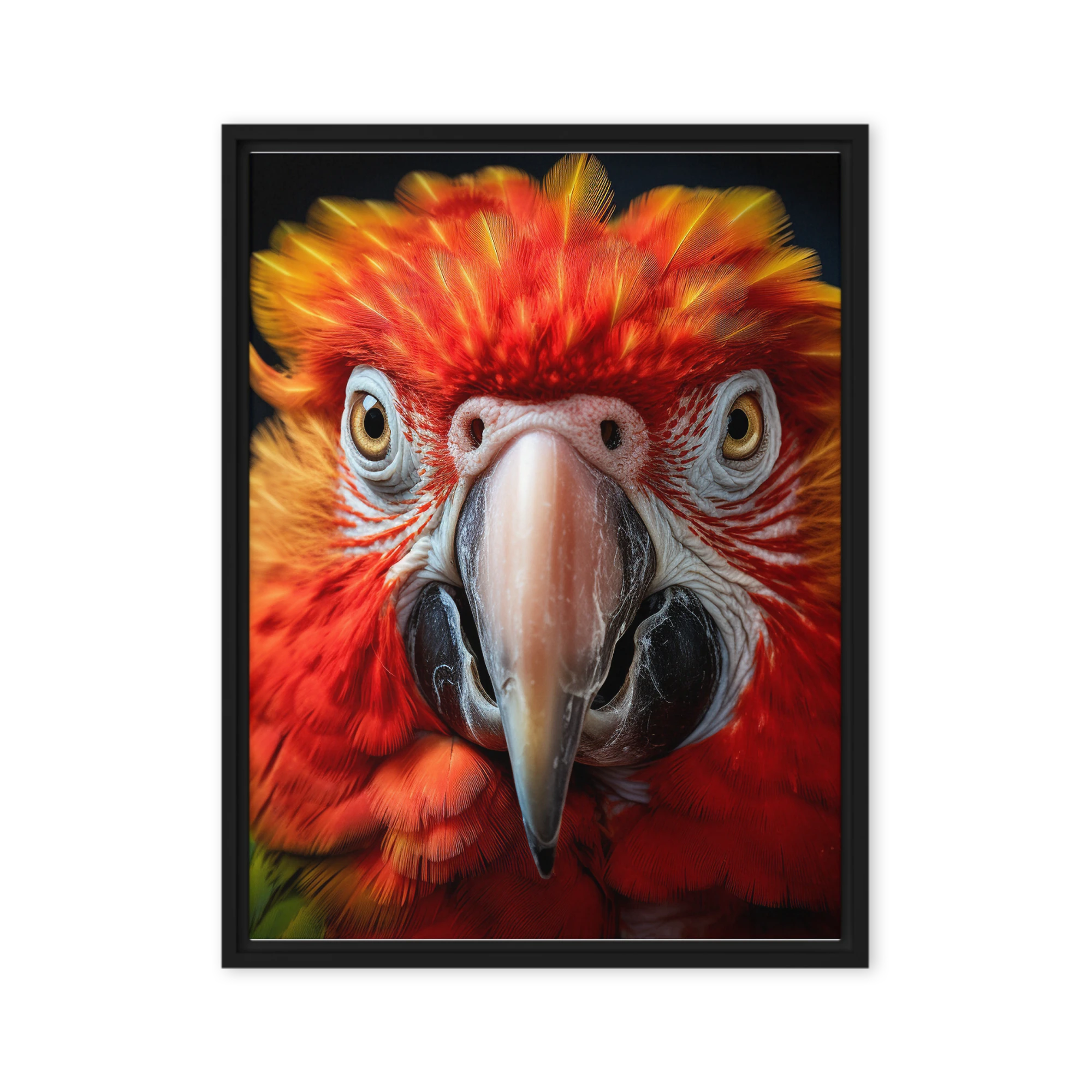 Vibrant Parrot Macro Photography