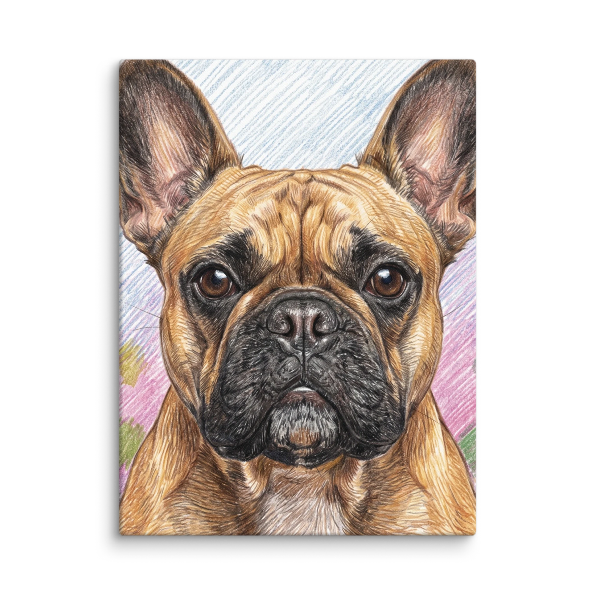 Pet Portrait — Colored Pencil