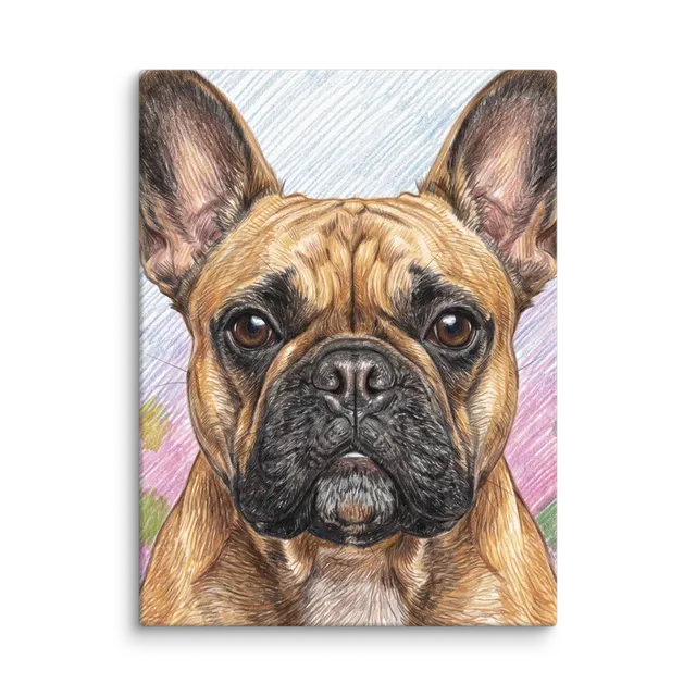Pet Portrait — Colored Pencil