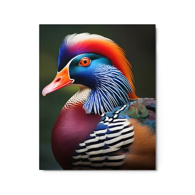 Mandarin Duck's Plumage | Art Print