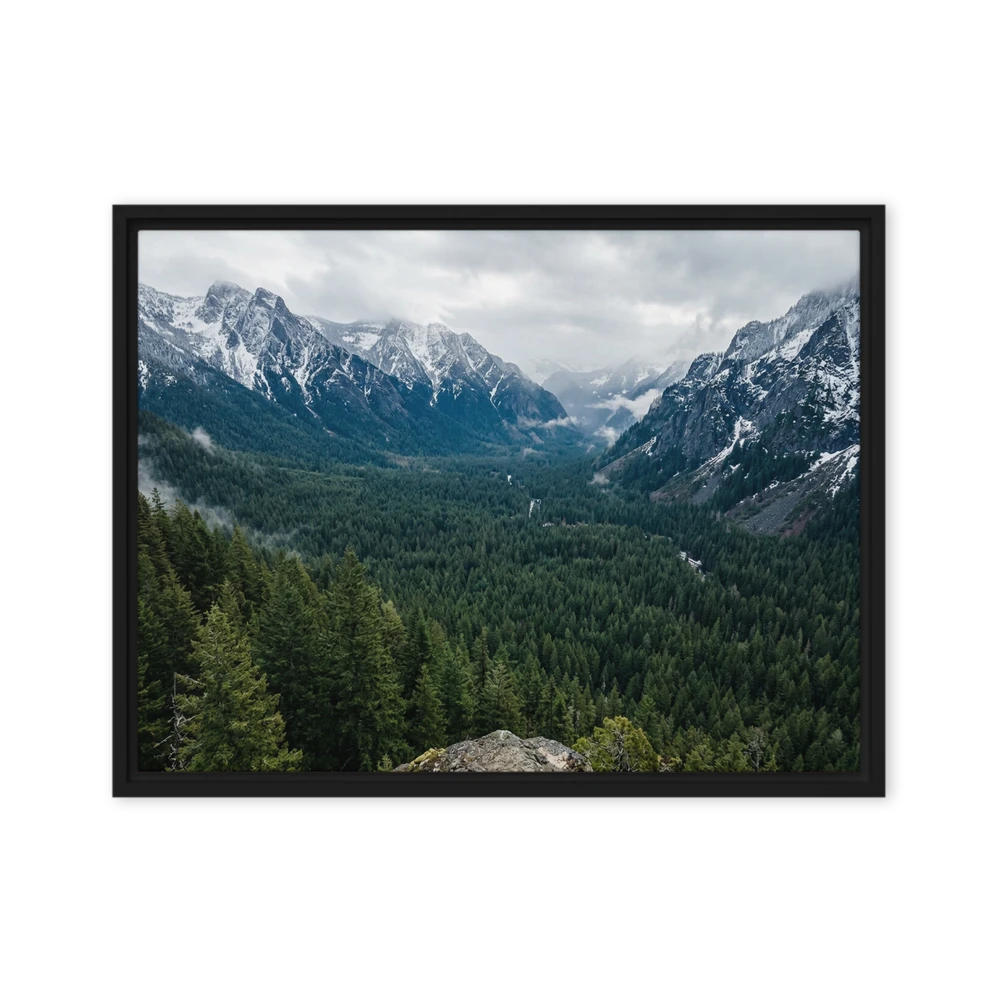 Alpine Forest Valley | Art Print