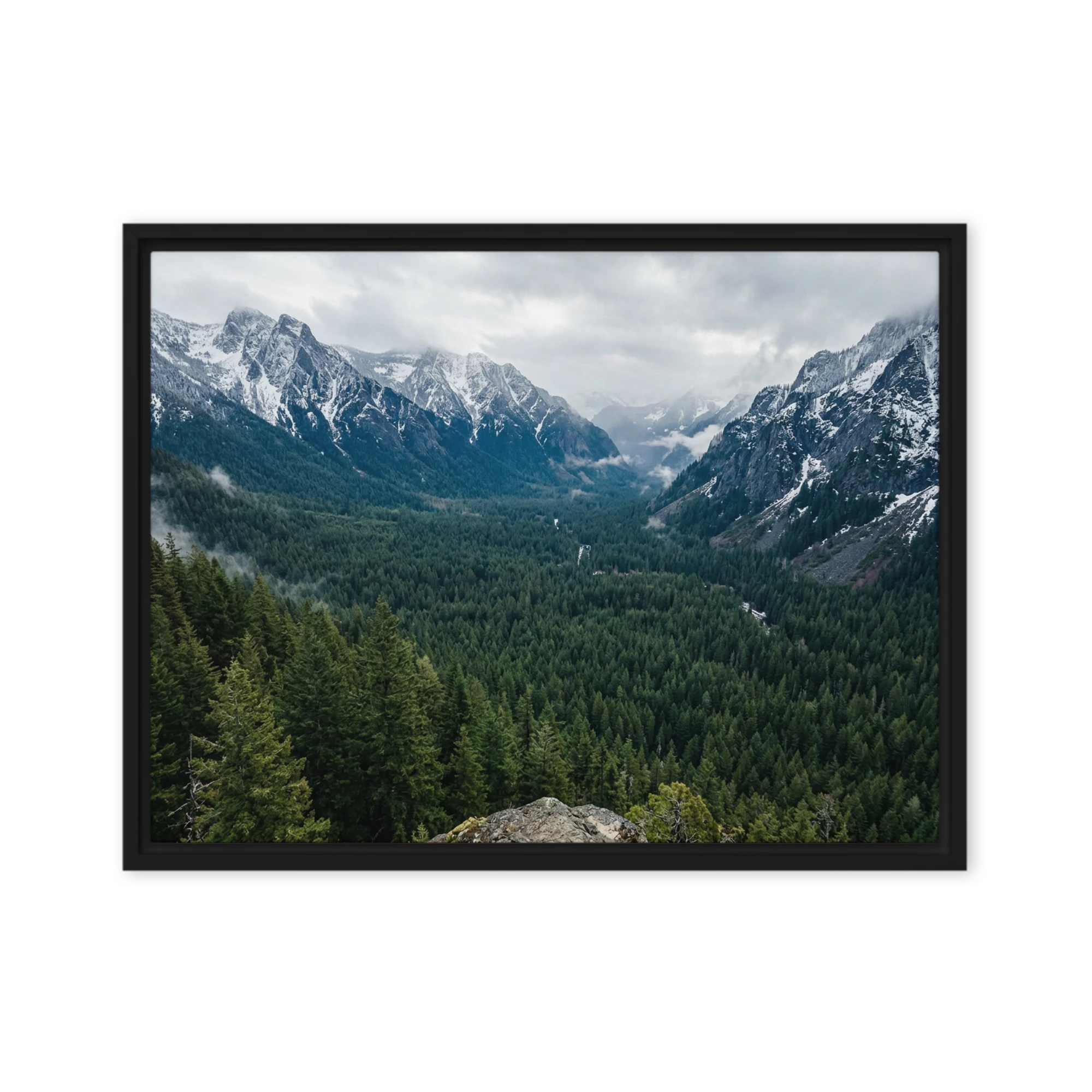 Alpine Forest Valley | Art Print