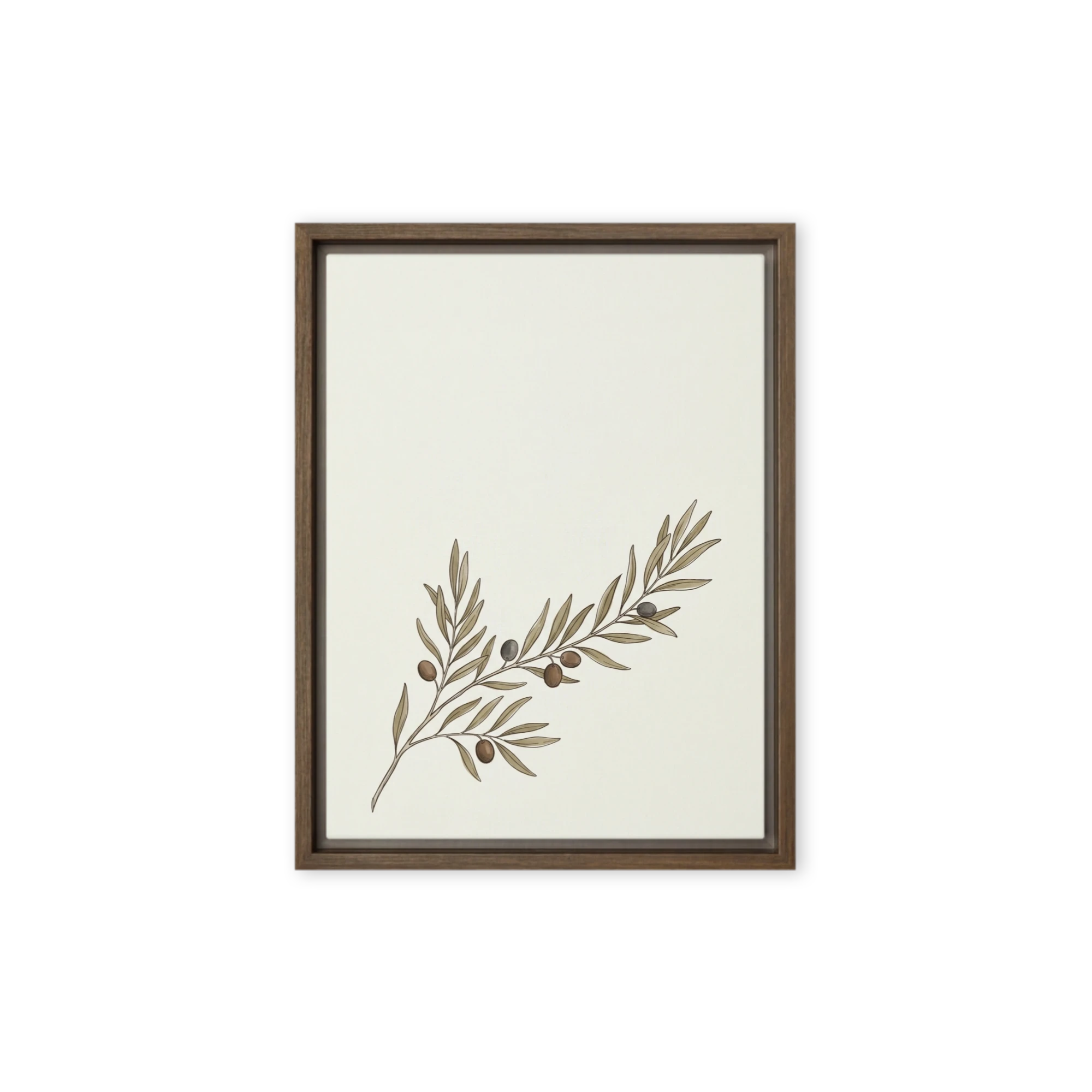 Mediterranean Olive Branch