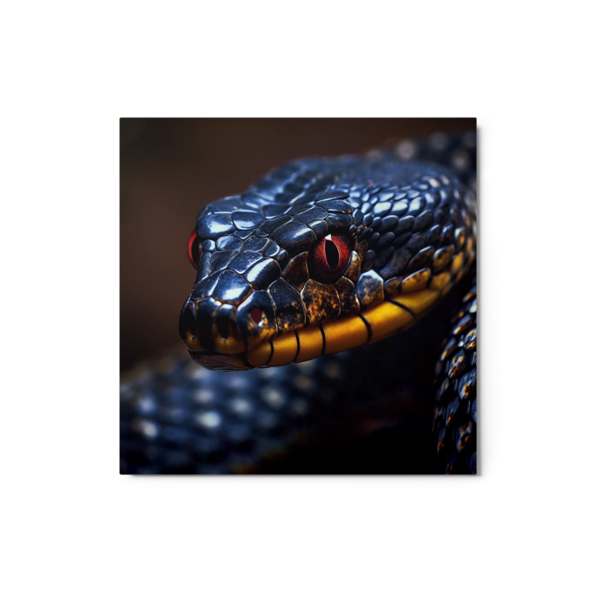 Close-Up Macro Photograph of a Snake