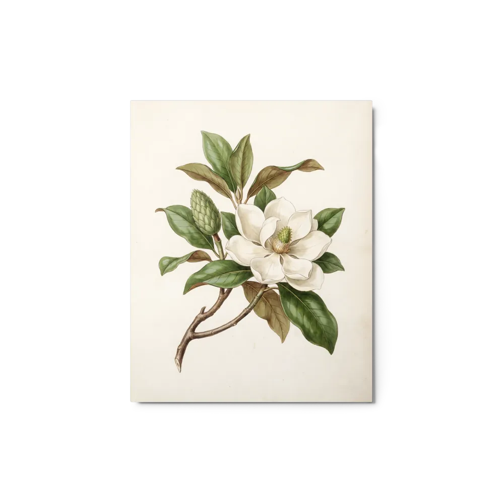 Elegant Magnolia Blossom 
 Canvas | 24″x 32″