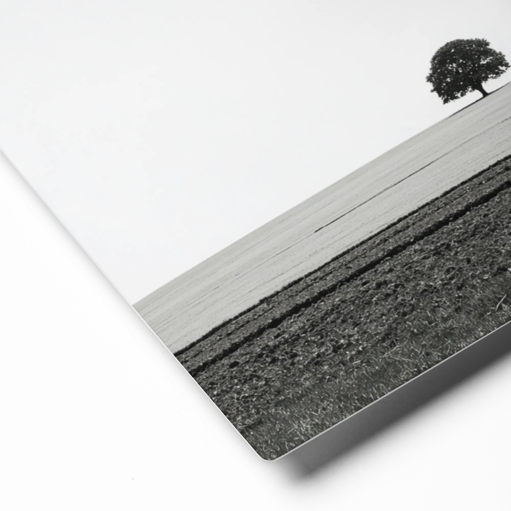 The Solitary Tree | Art Print