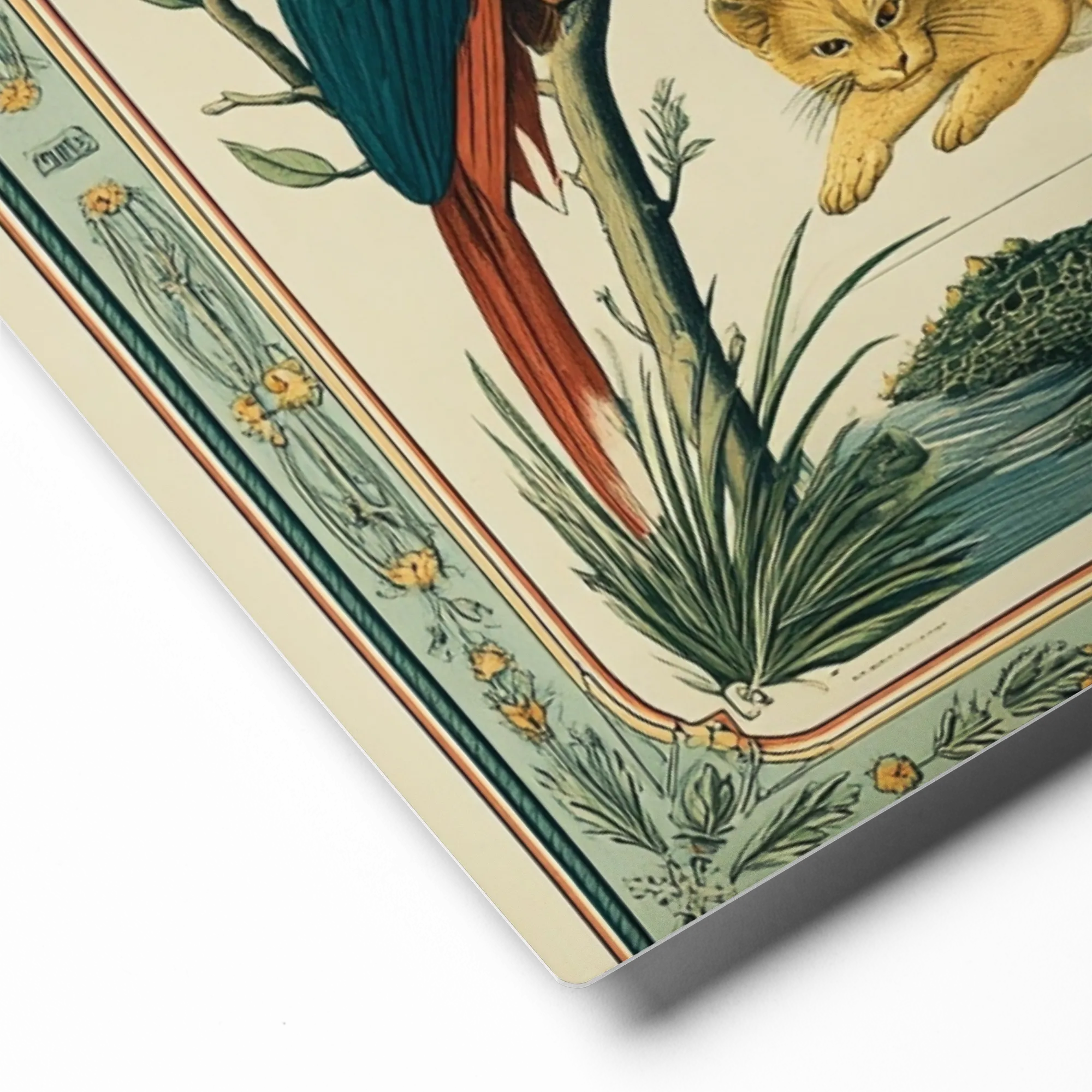Vintage Zoological Plate | Art Print