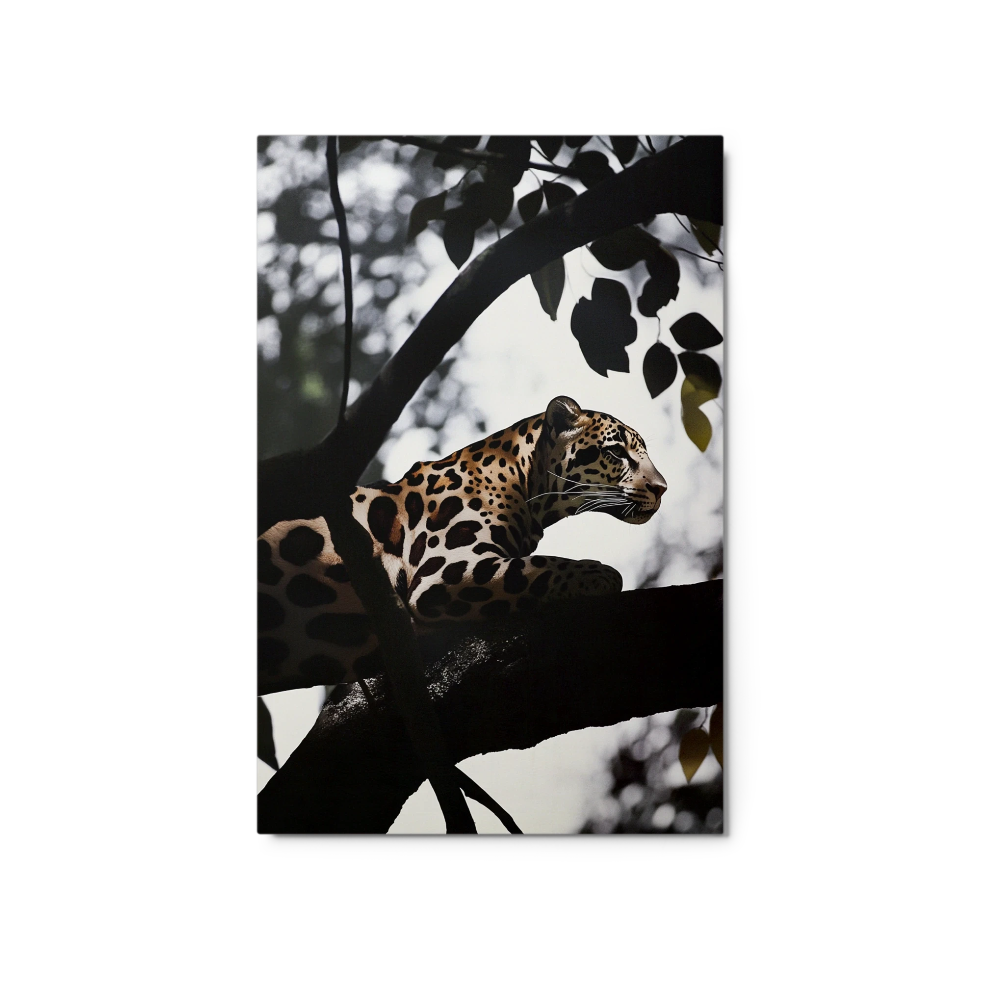 Leopard on a Branch