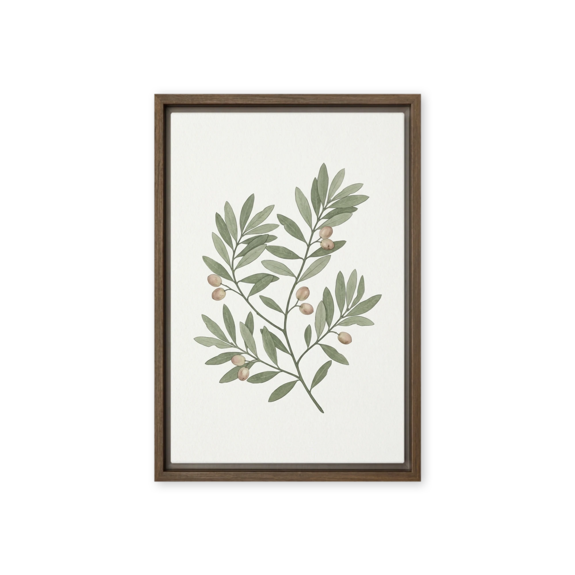 Olive Branch Botanical