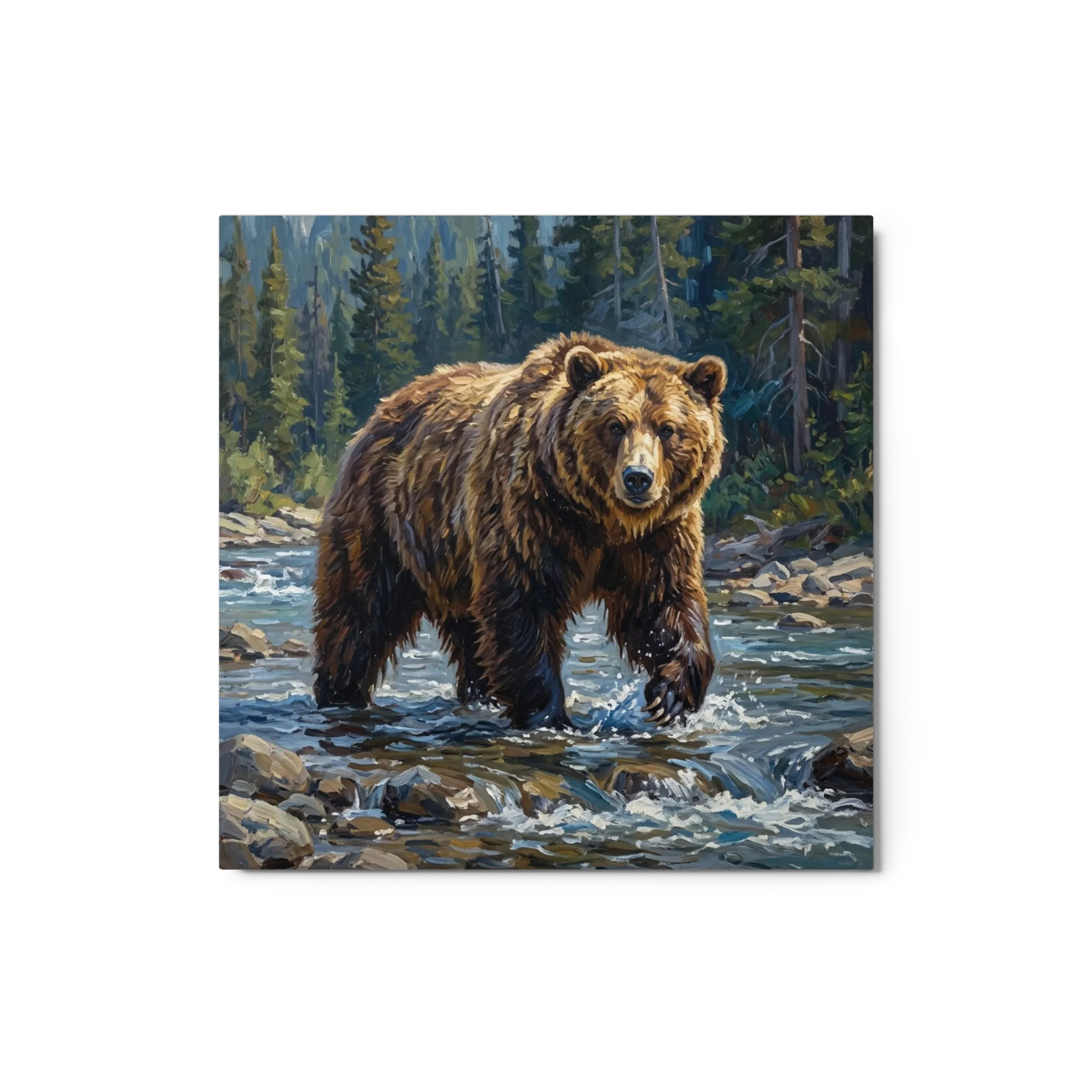 Grizzly Flussüberquerung