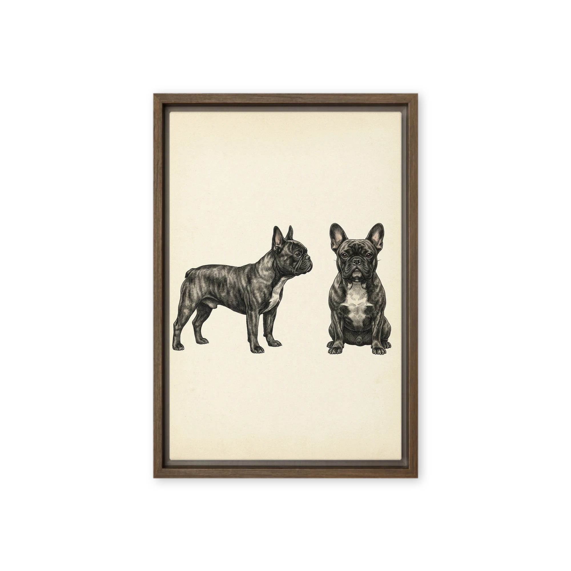 French Bulldog Portraits