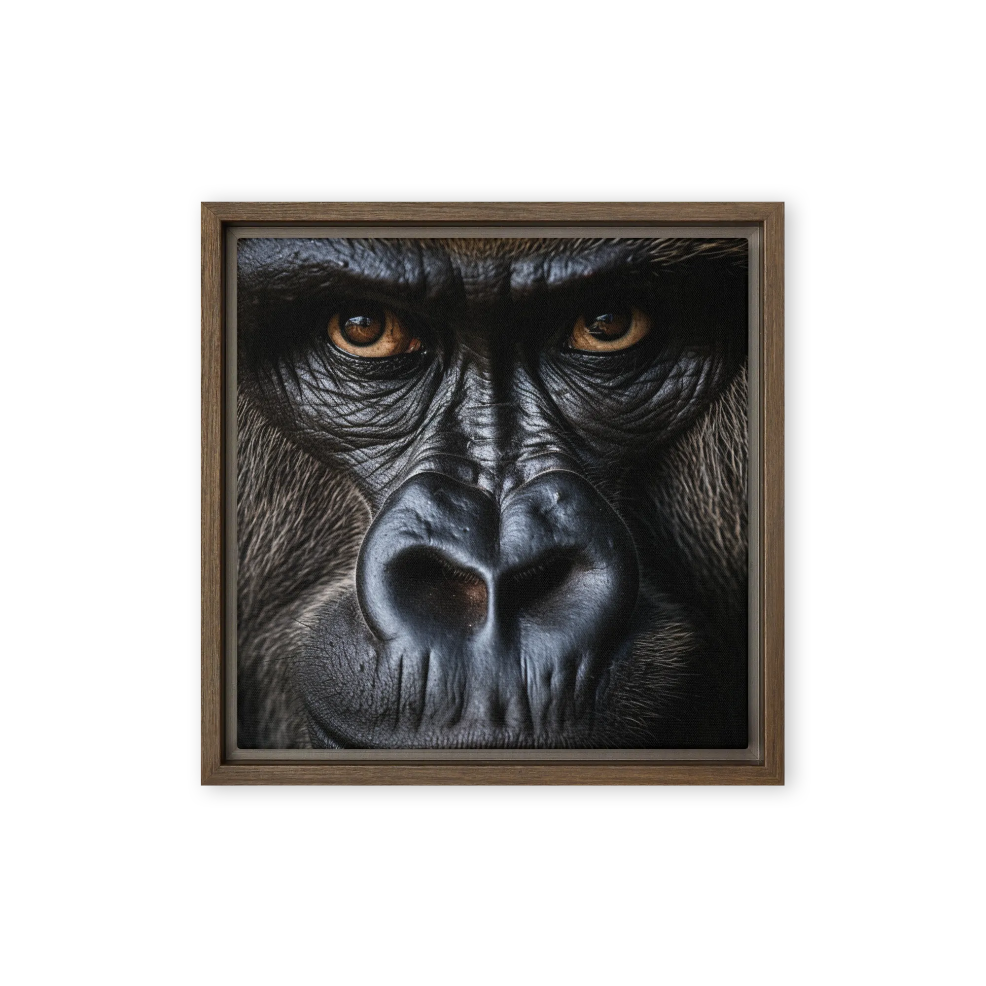 Fine Art Photography Wall Art — Fine Art Lens