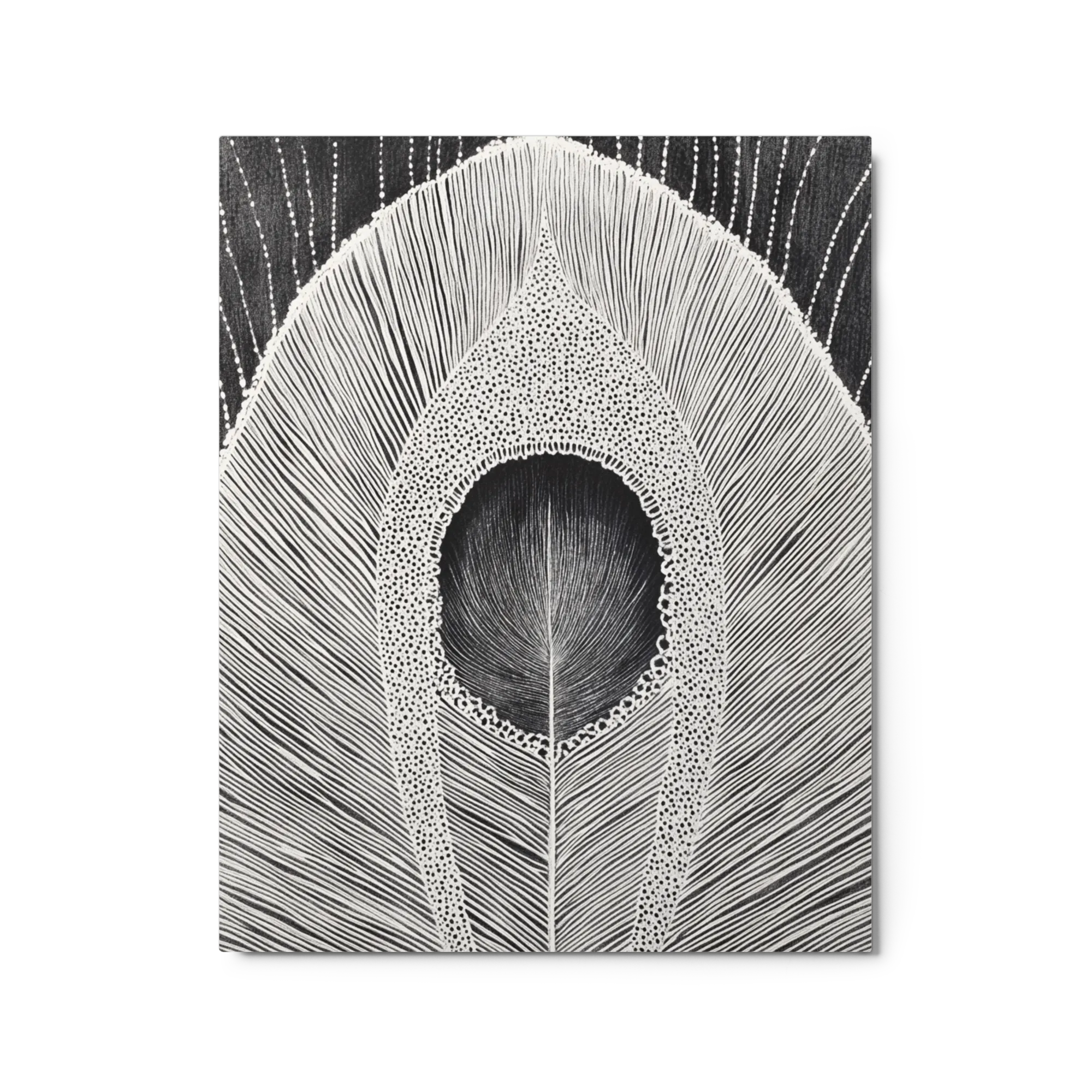 The Peacock's Eye