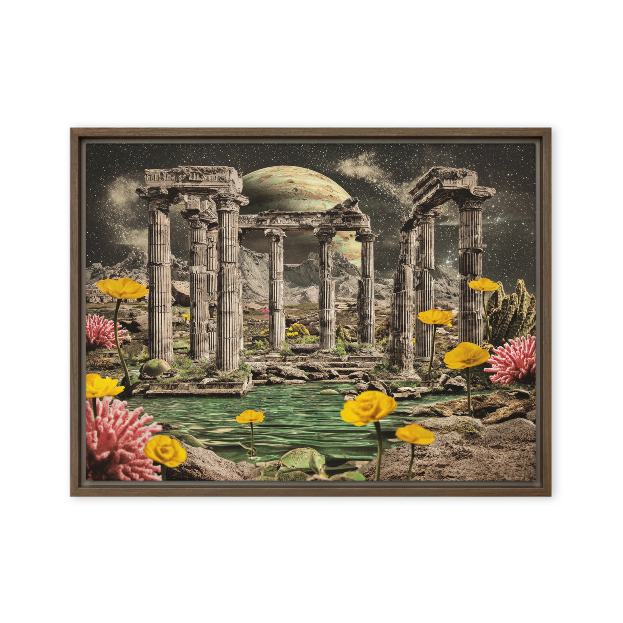 Giant Flowers On Faded Postcards — Blooms And Butterflies