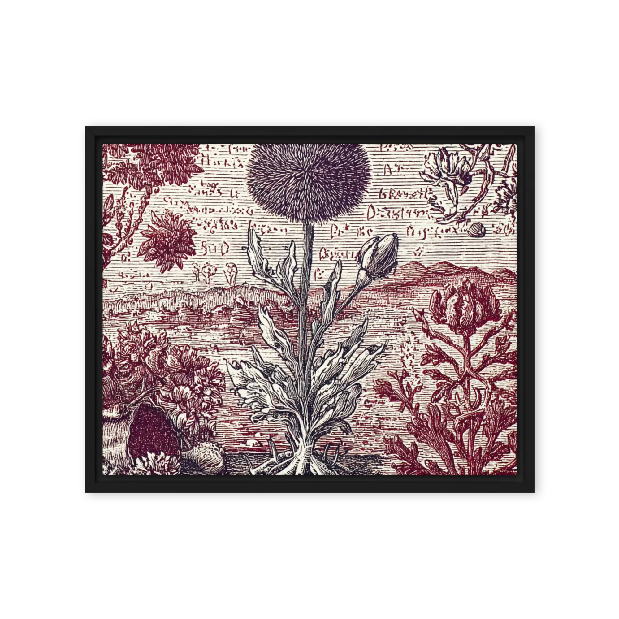 The Globe Thistle Study 
 Canvas | 8″x 10″