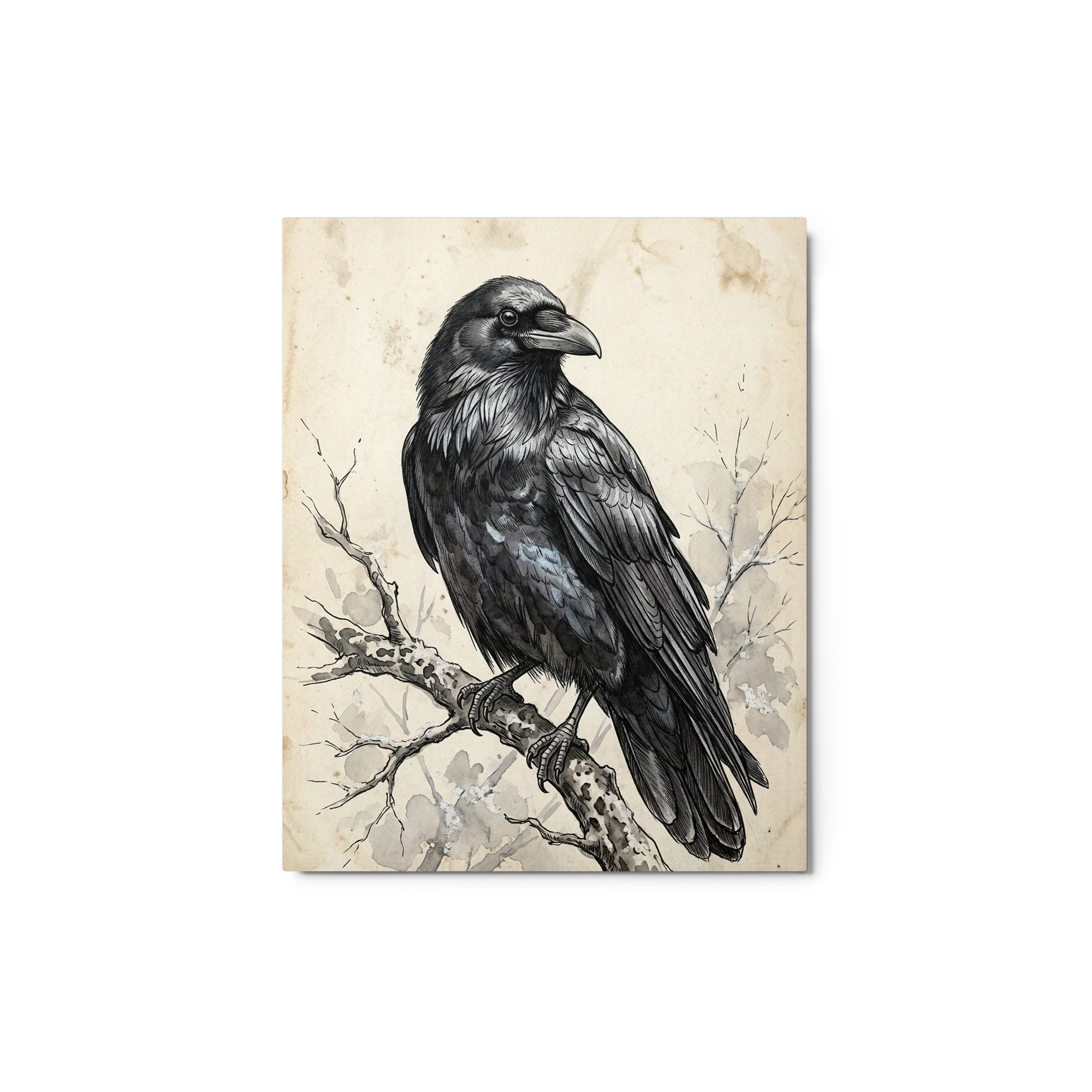 Lone Raven on Branch | Art Print