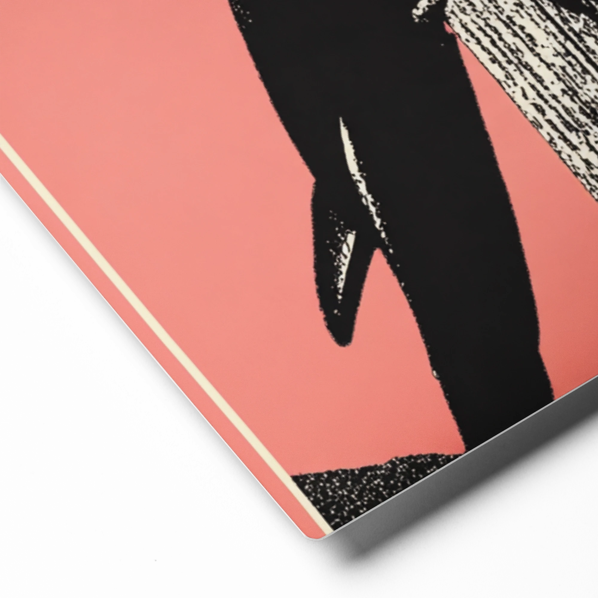 Black Macaw on Pink | Art Print