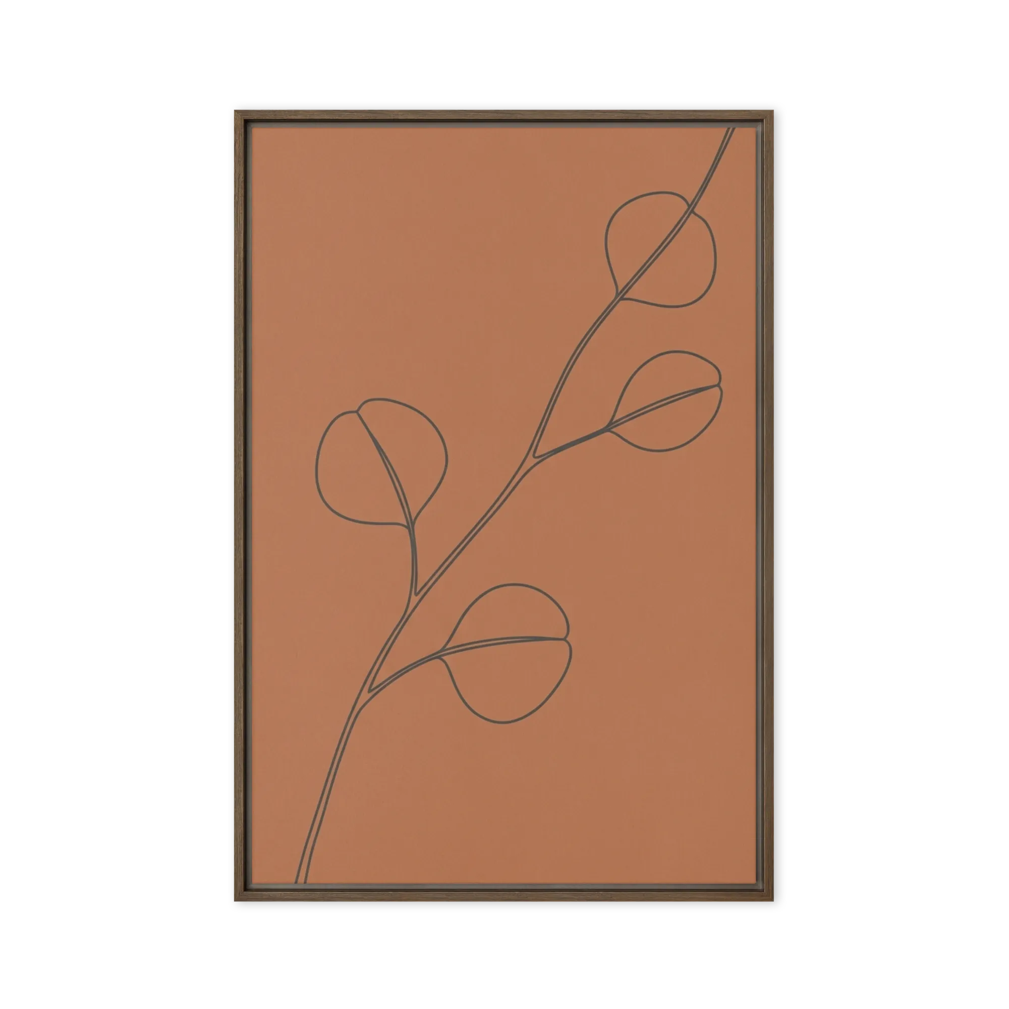 Terracotta Eucalyptus
