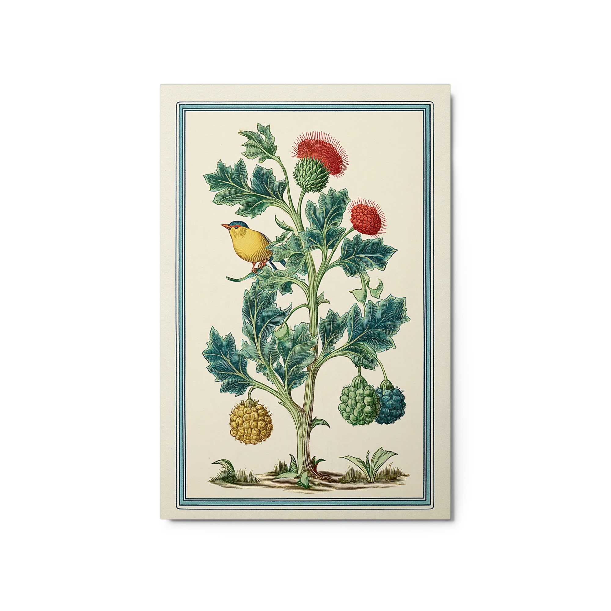 The Yellow Bird and Thistle