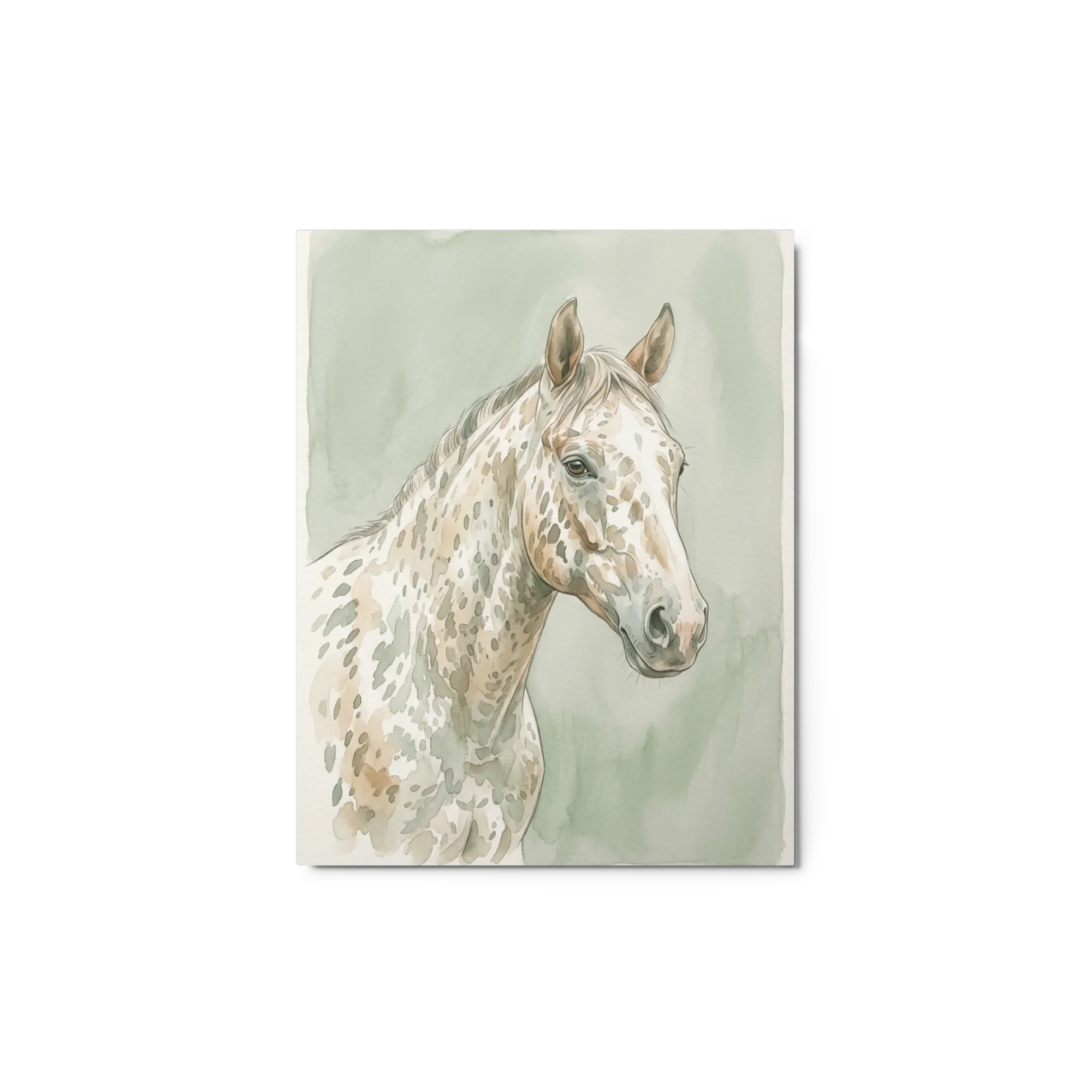 Appaloosa in Watercolor