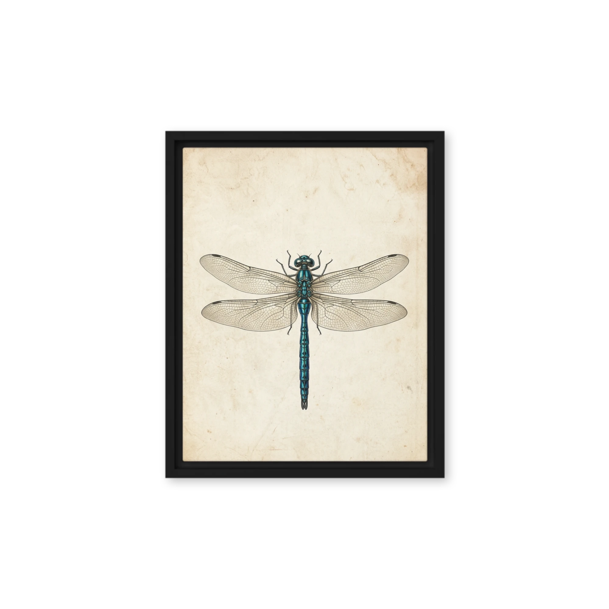 Teal Dragonfly Engraving