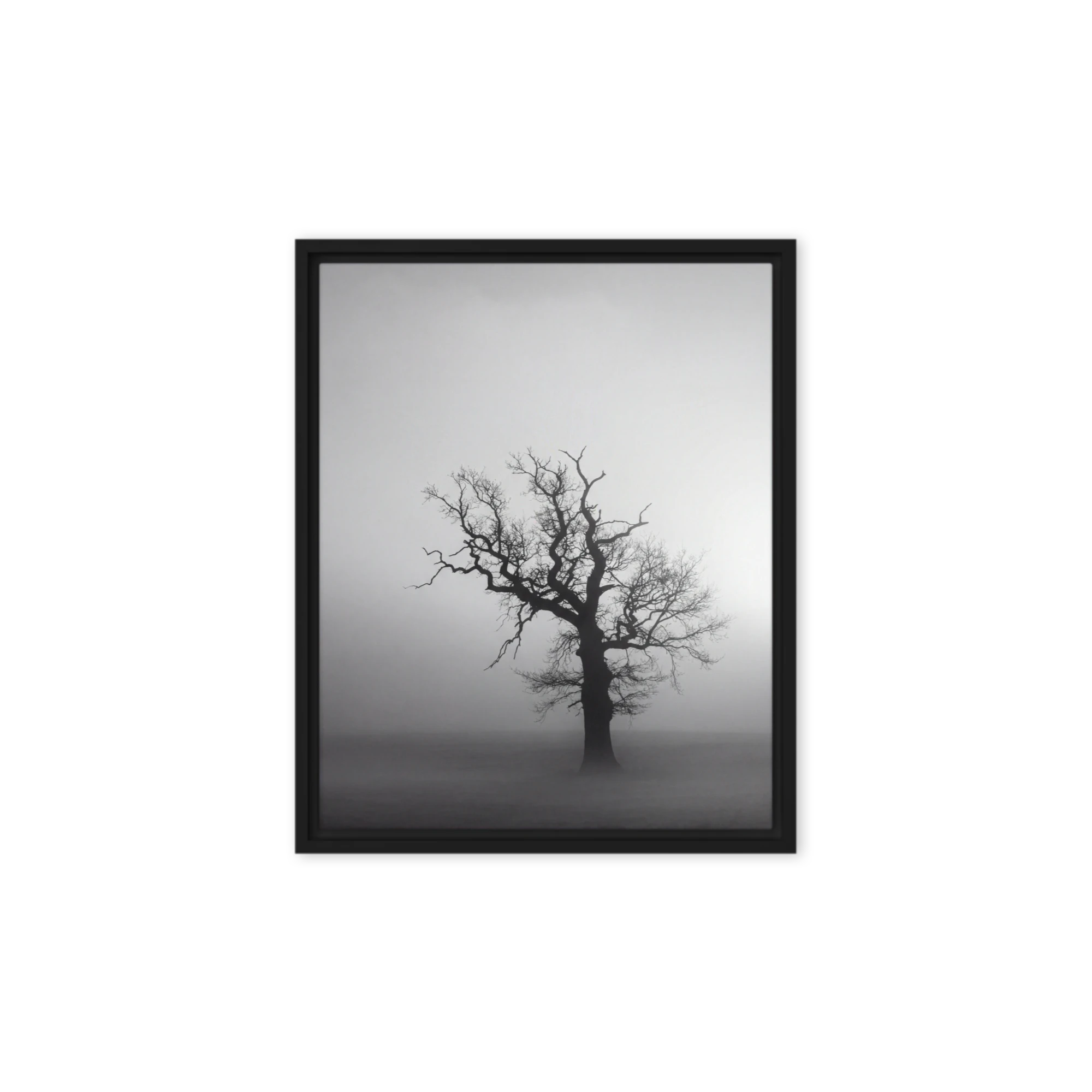 Solitary Tree in Fog