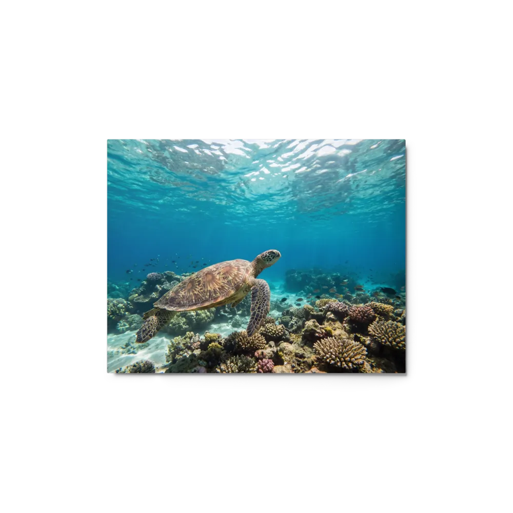 Ocean Wanderer 
 Canvas with Black Frame