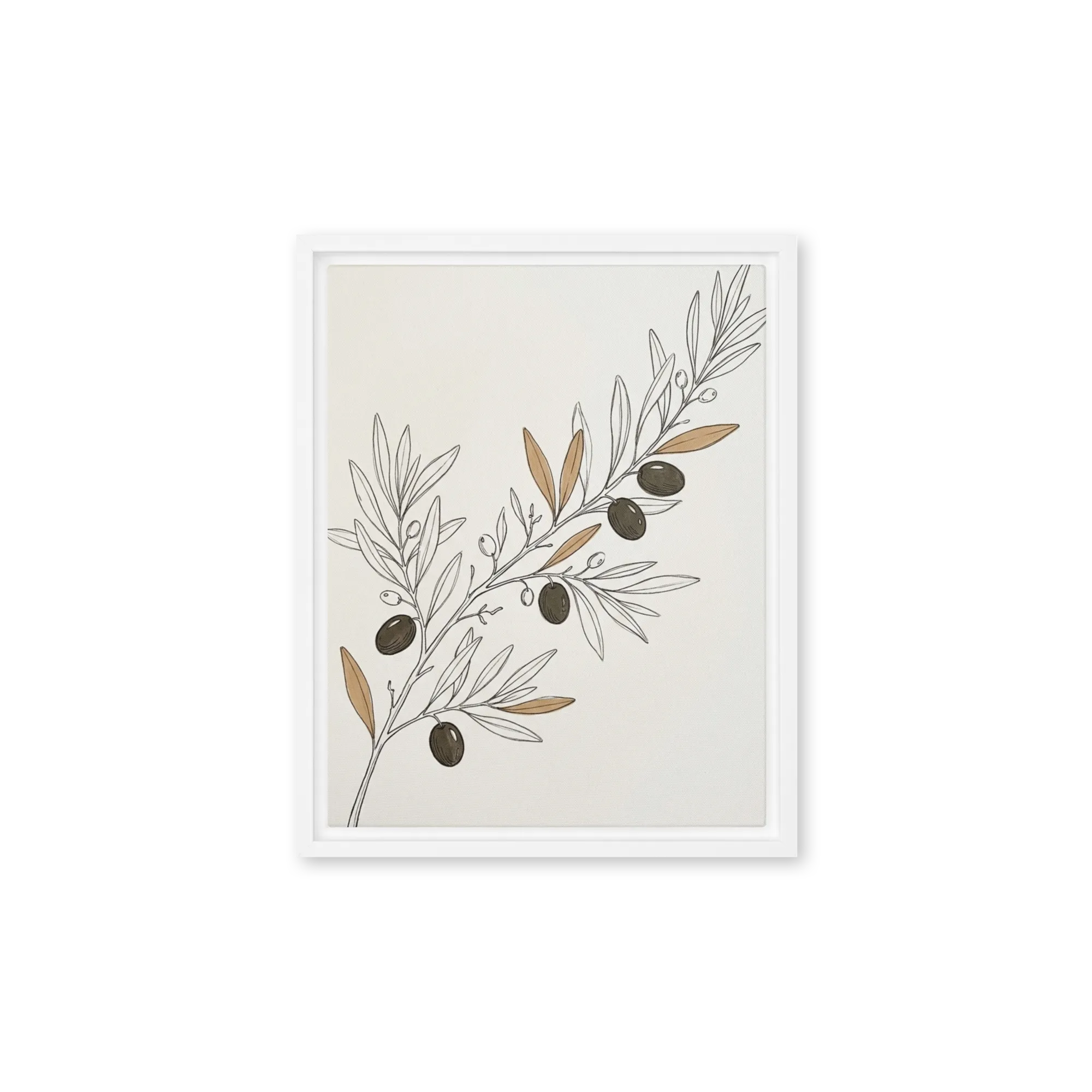Olive Branch