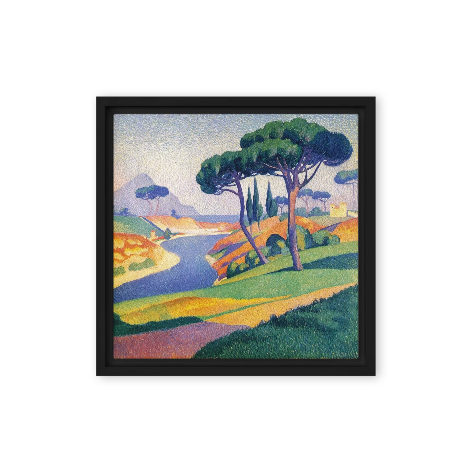Mediterranean Pines by the River