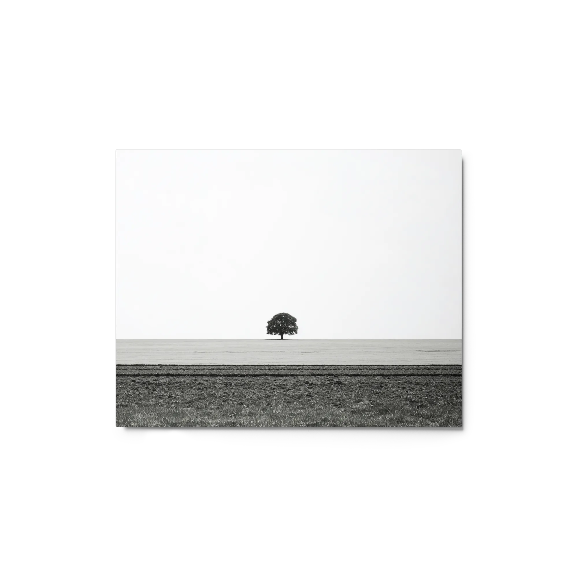 The Solitary Tree