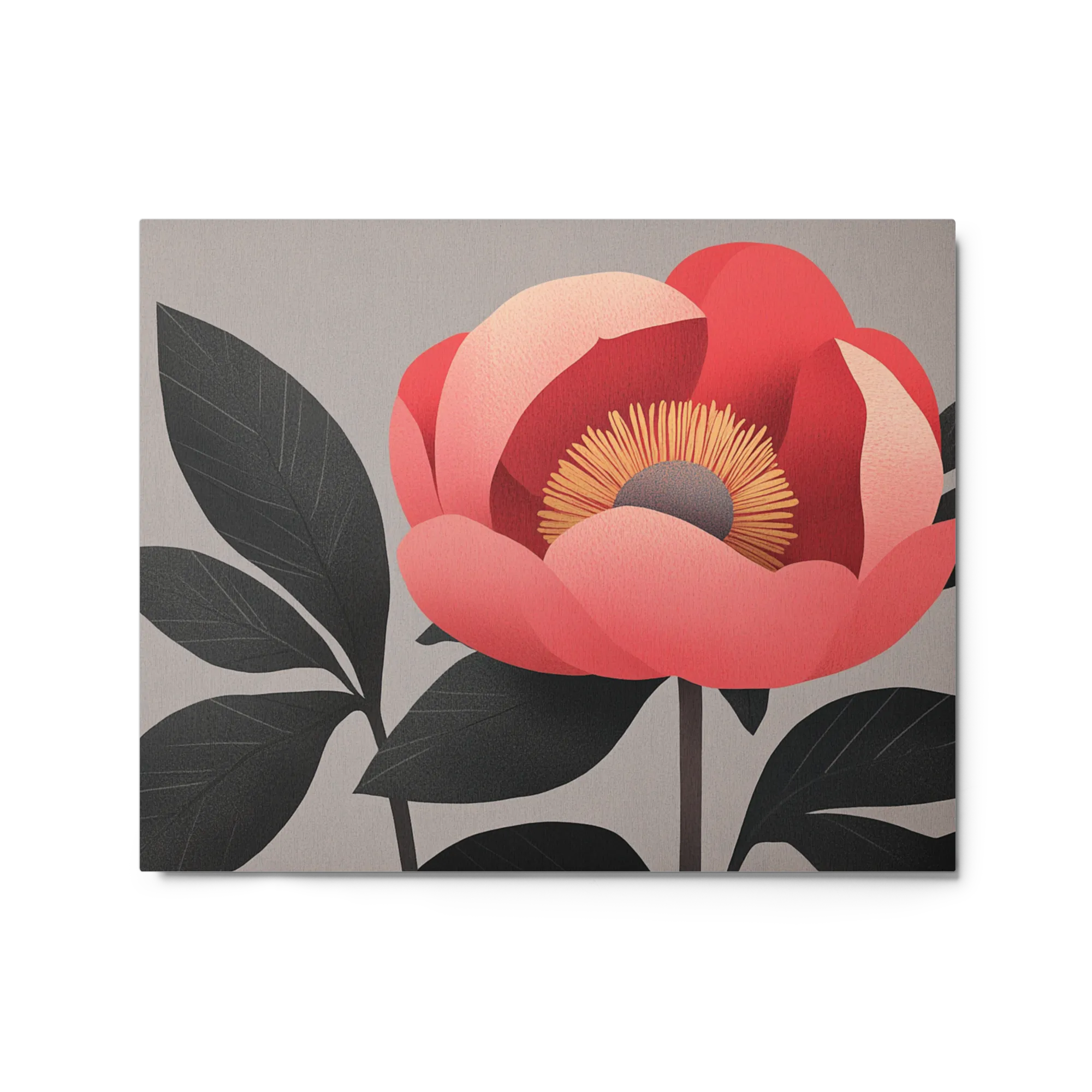 Coral Peony