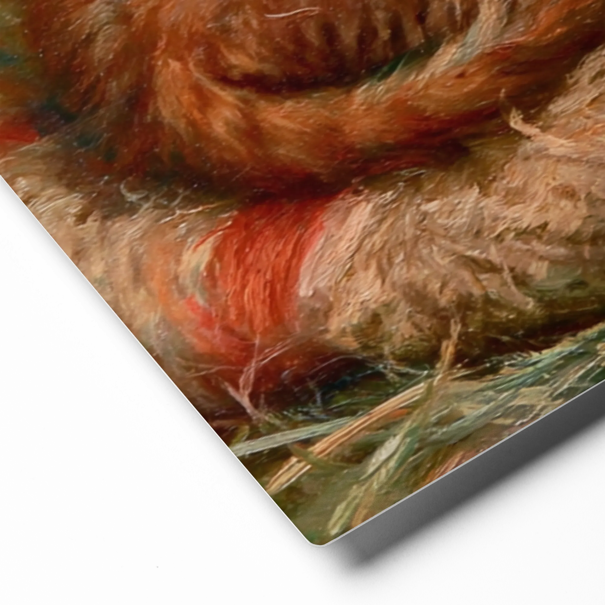 Sleeping Ginger Kitten | Art Print