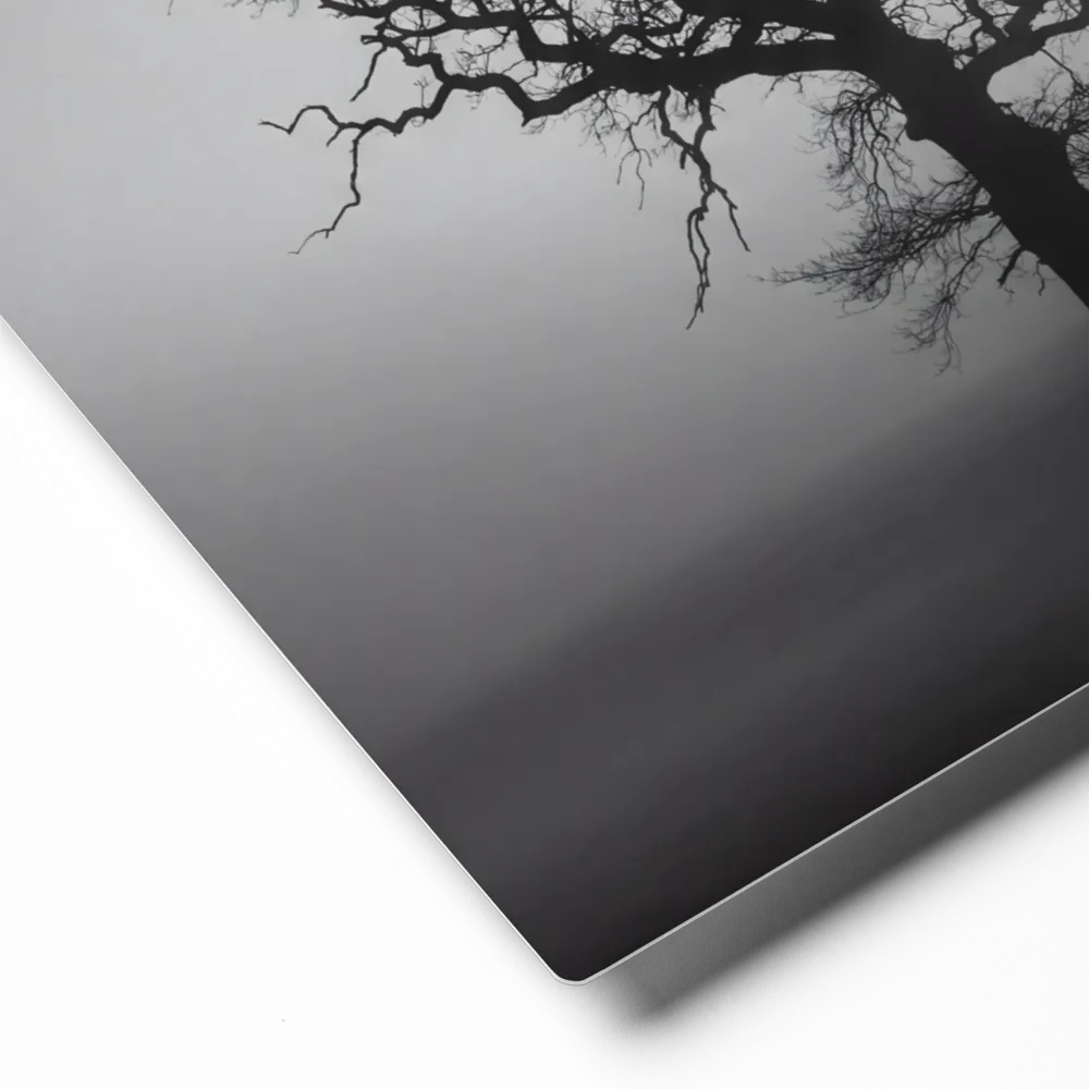 Solitary Tree in Fog 
 Poster with White Frame | 12″x 16″