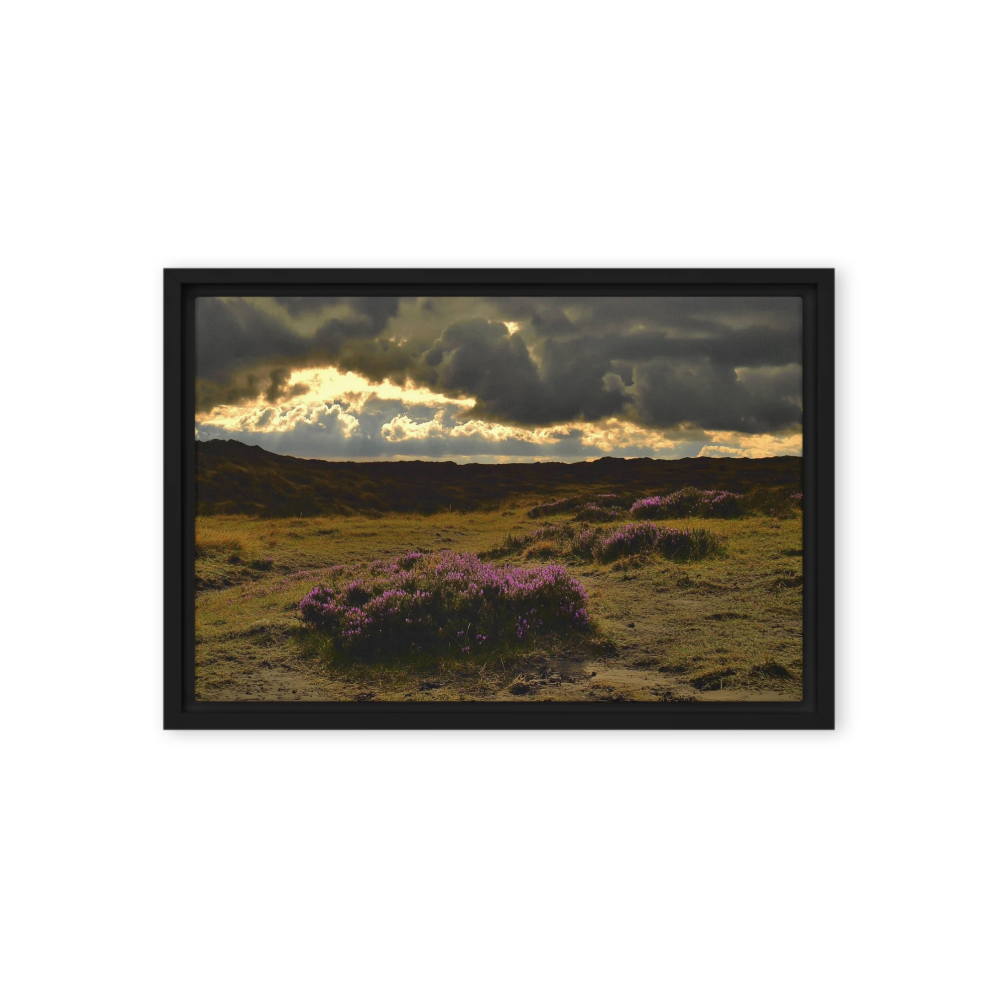 Where gold leaf meets slate grey — Theatre of shadow