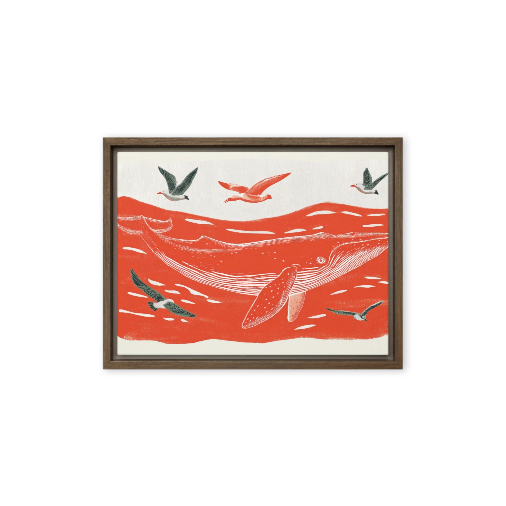 Crimson Sea Humpback