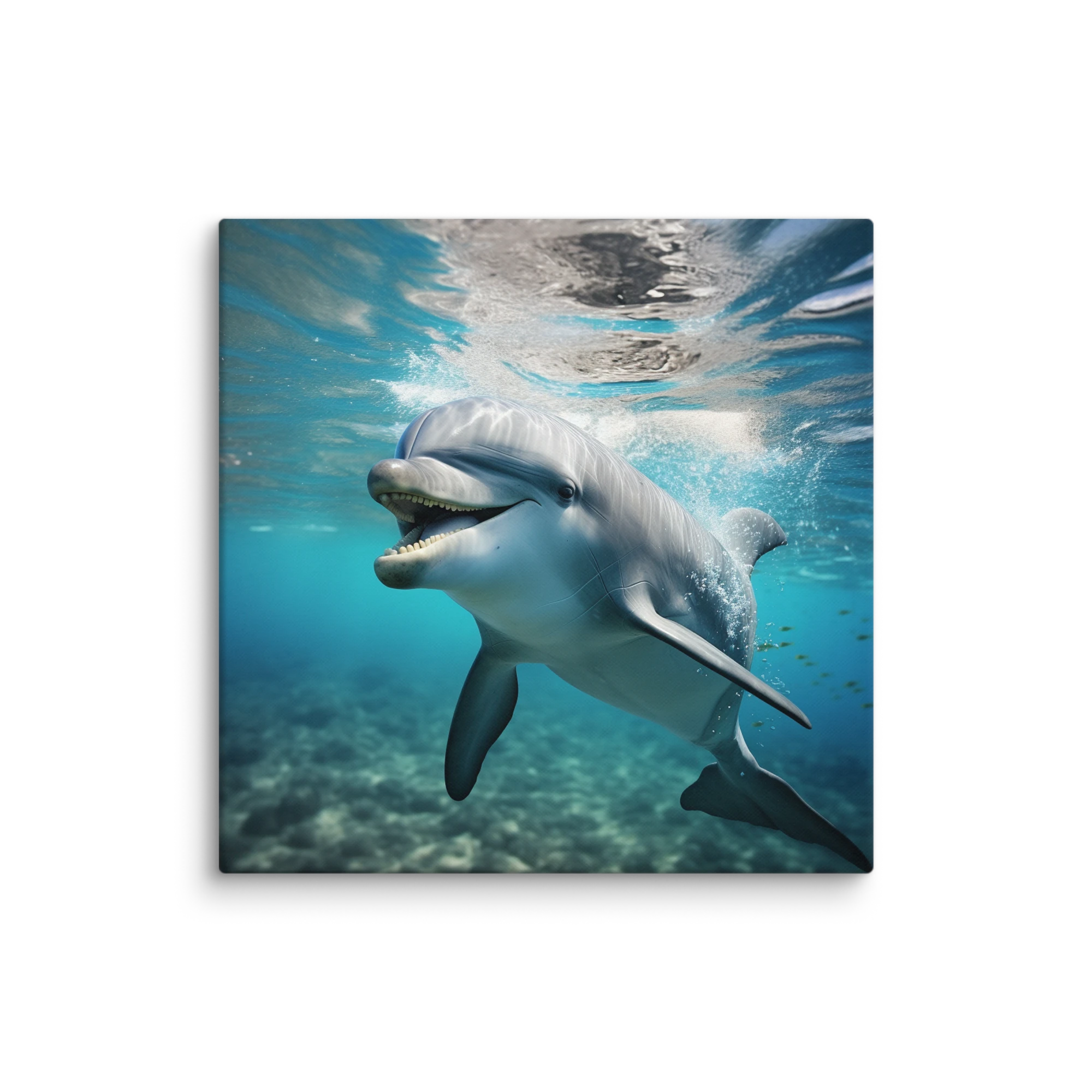 Smiling Dolphin Underwater Photograph