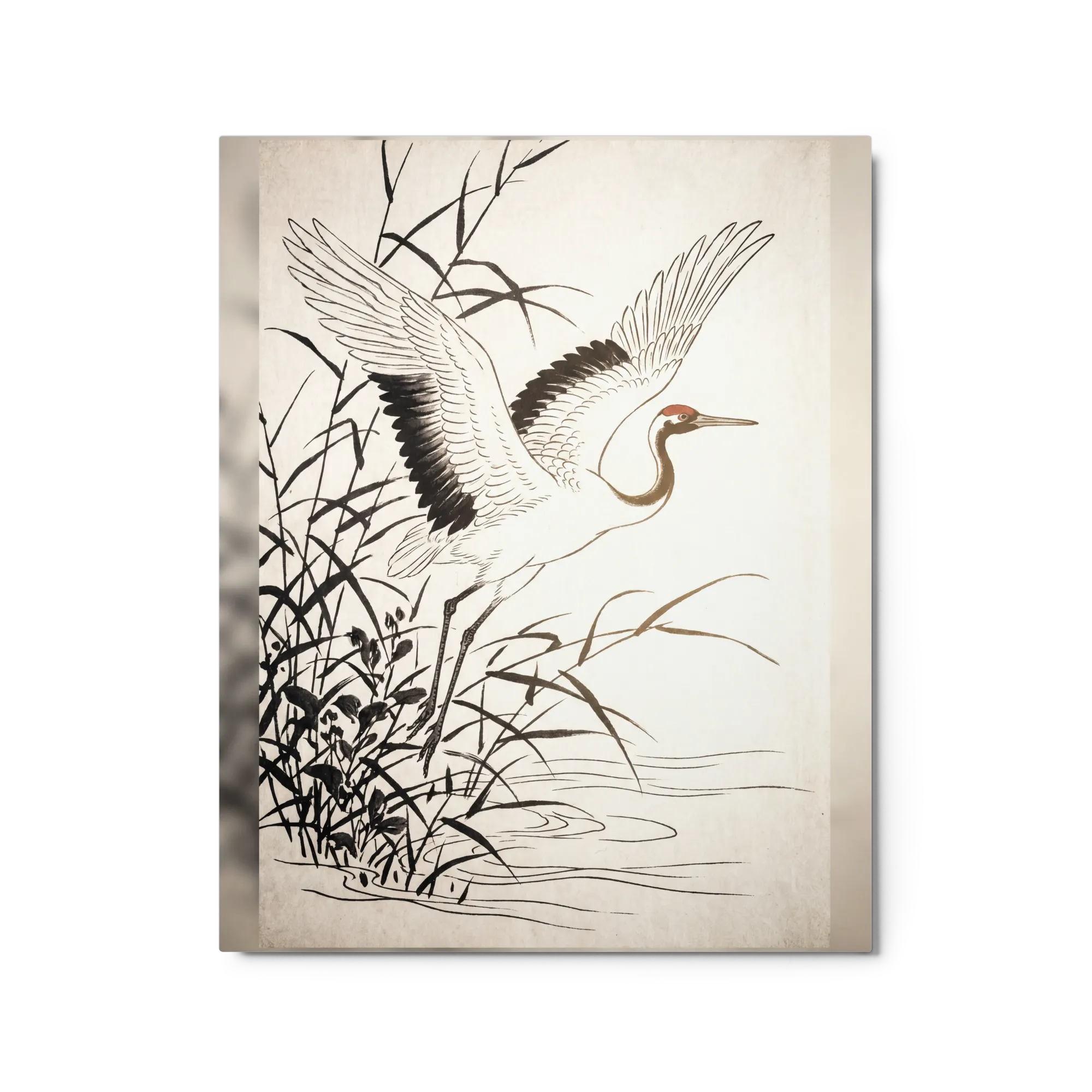 The Soaring Crane