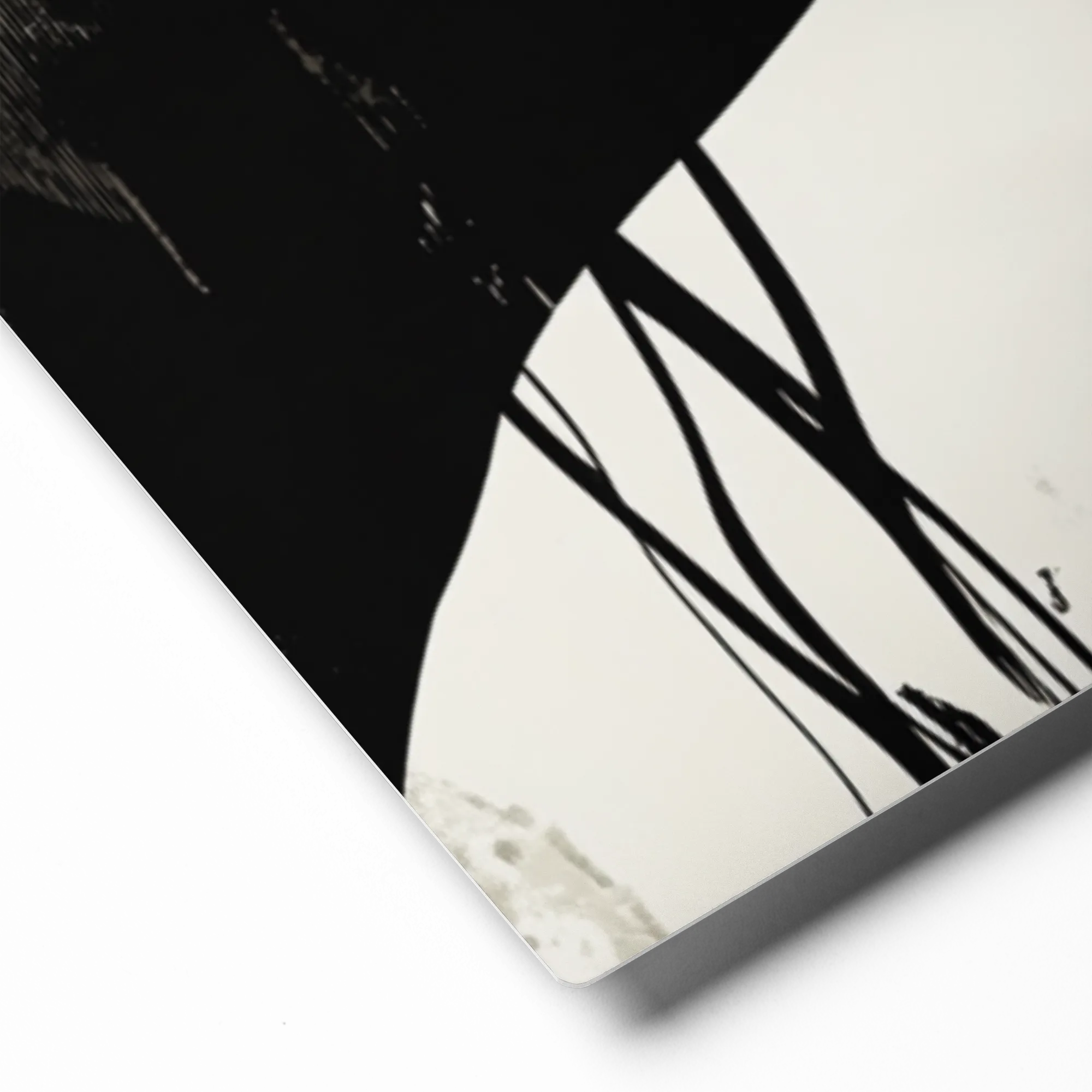 The Serene Leopard 
 Canvas with Black Frame
