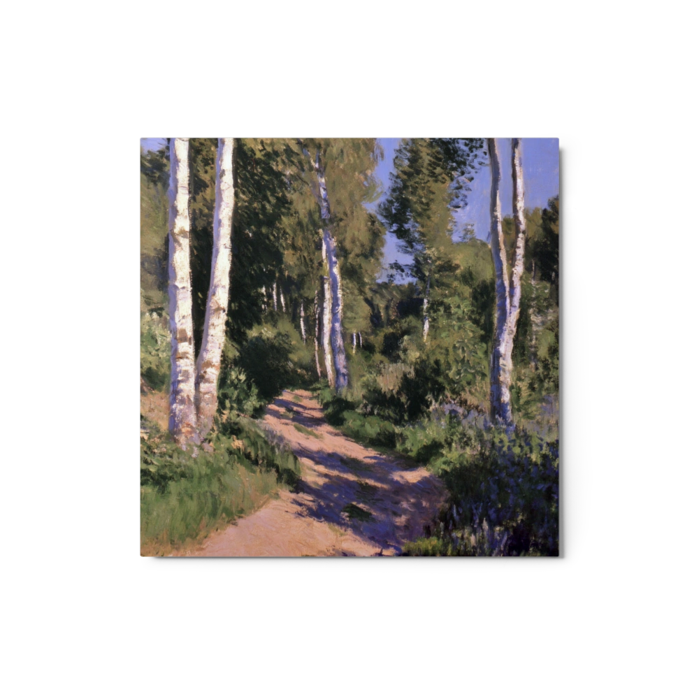 Sunlit Birch Trail