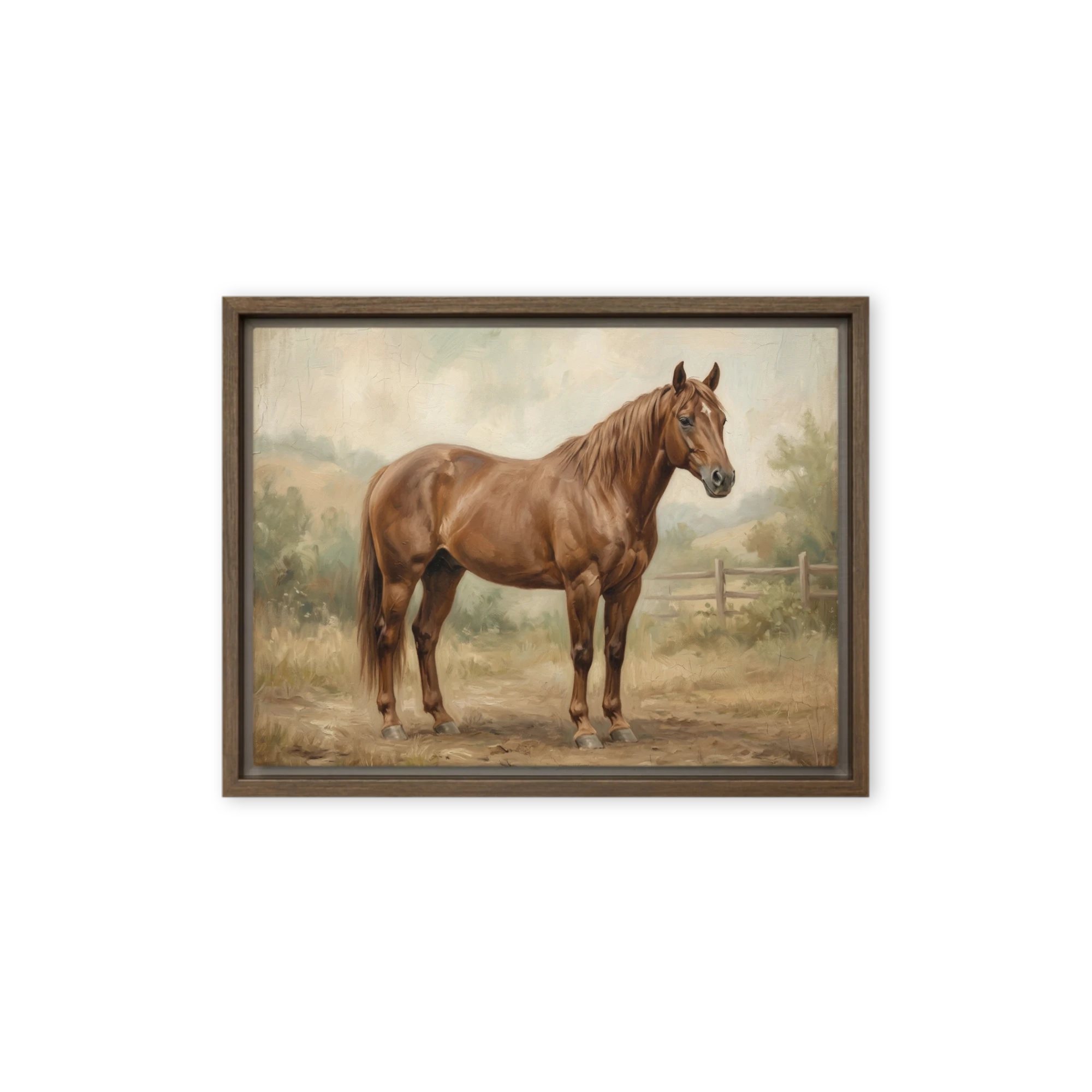 The Chestnut Stallion