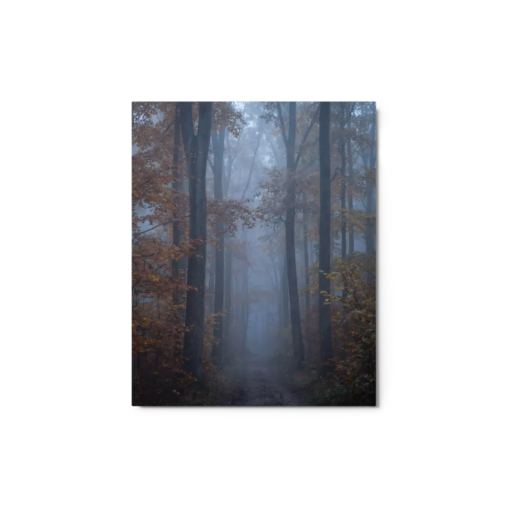 Mystical Foggy Forest