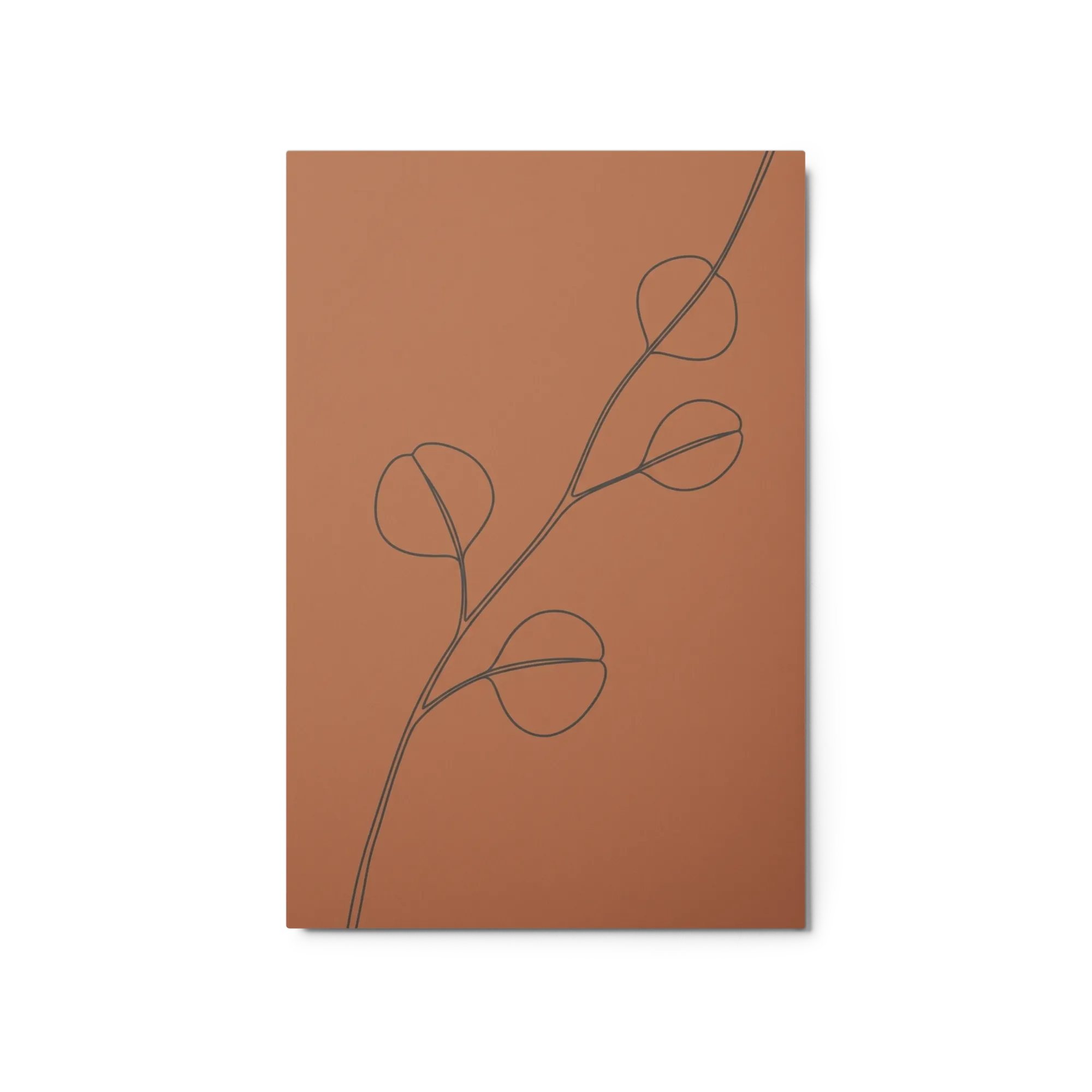 Terracotta Eucalyptus