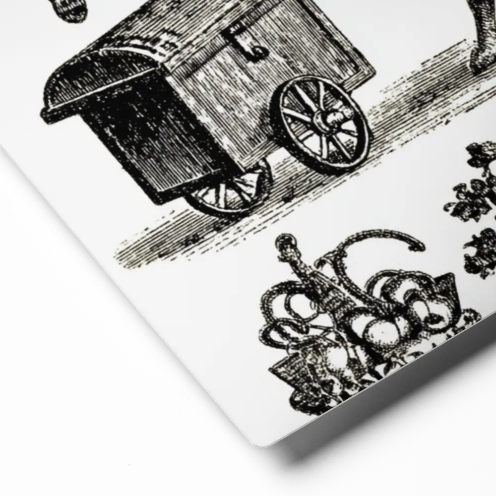 Curiosities Vintage Engraving Plate | Art Print