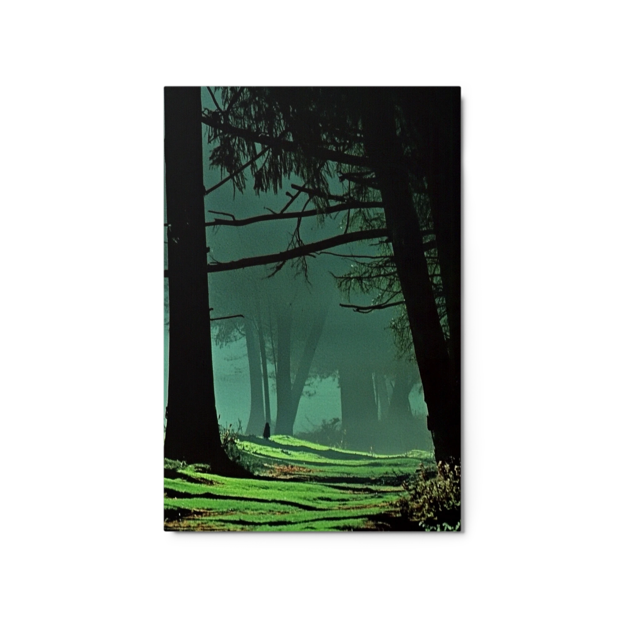 Misty Forest Path