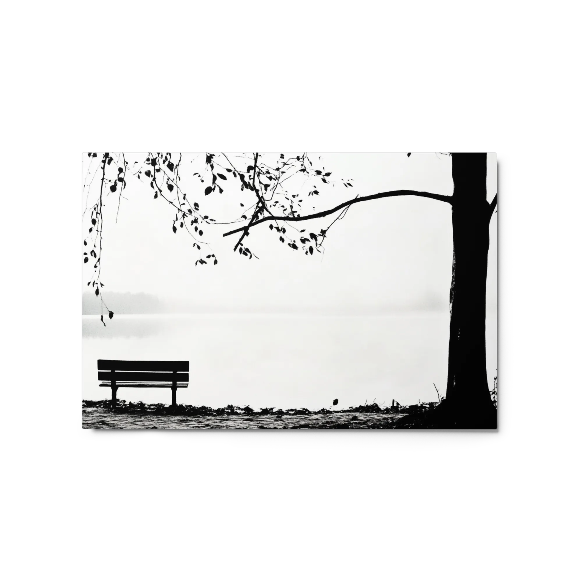 Silent Solitude