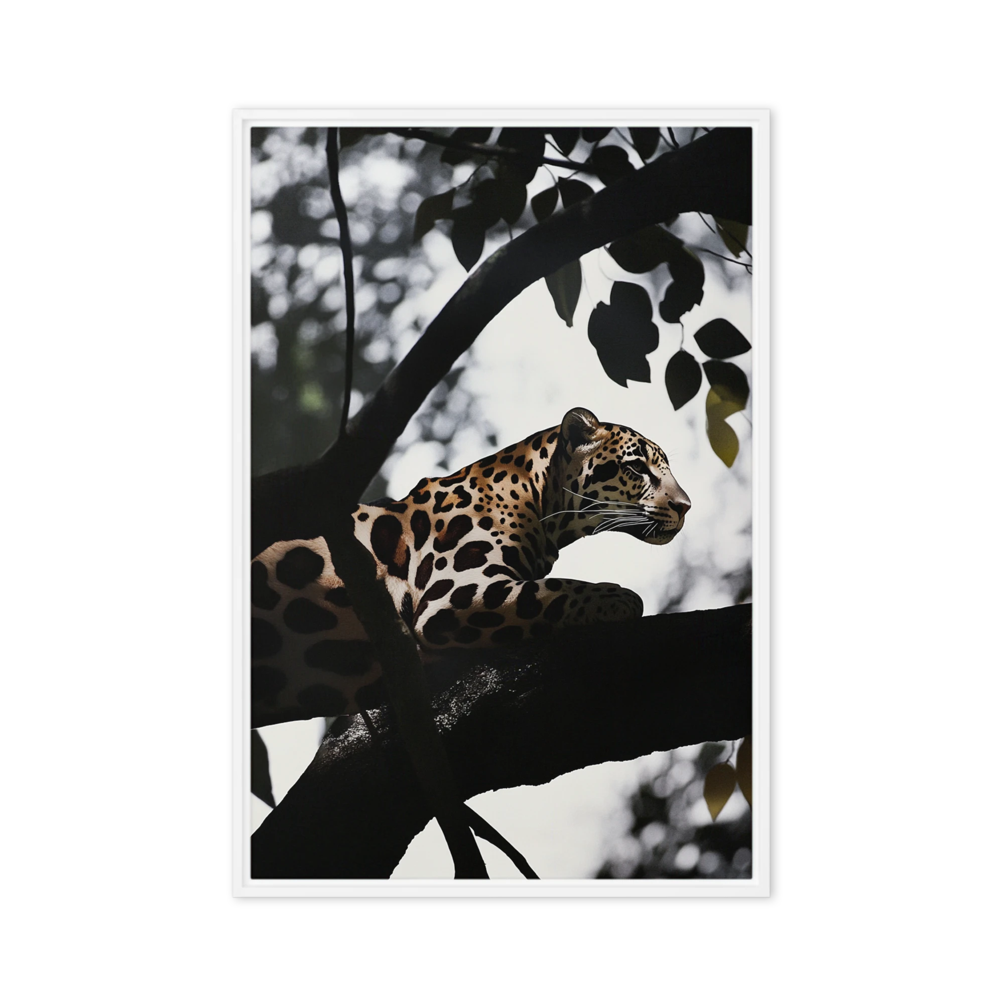 Leopard on a Branch