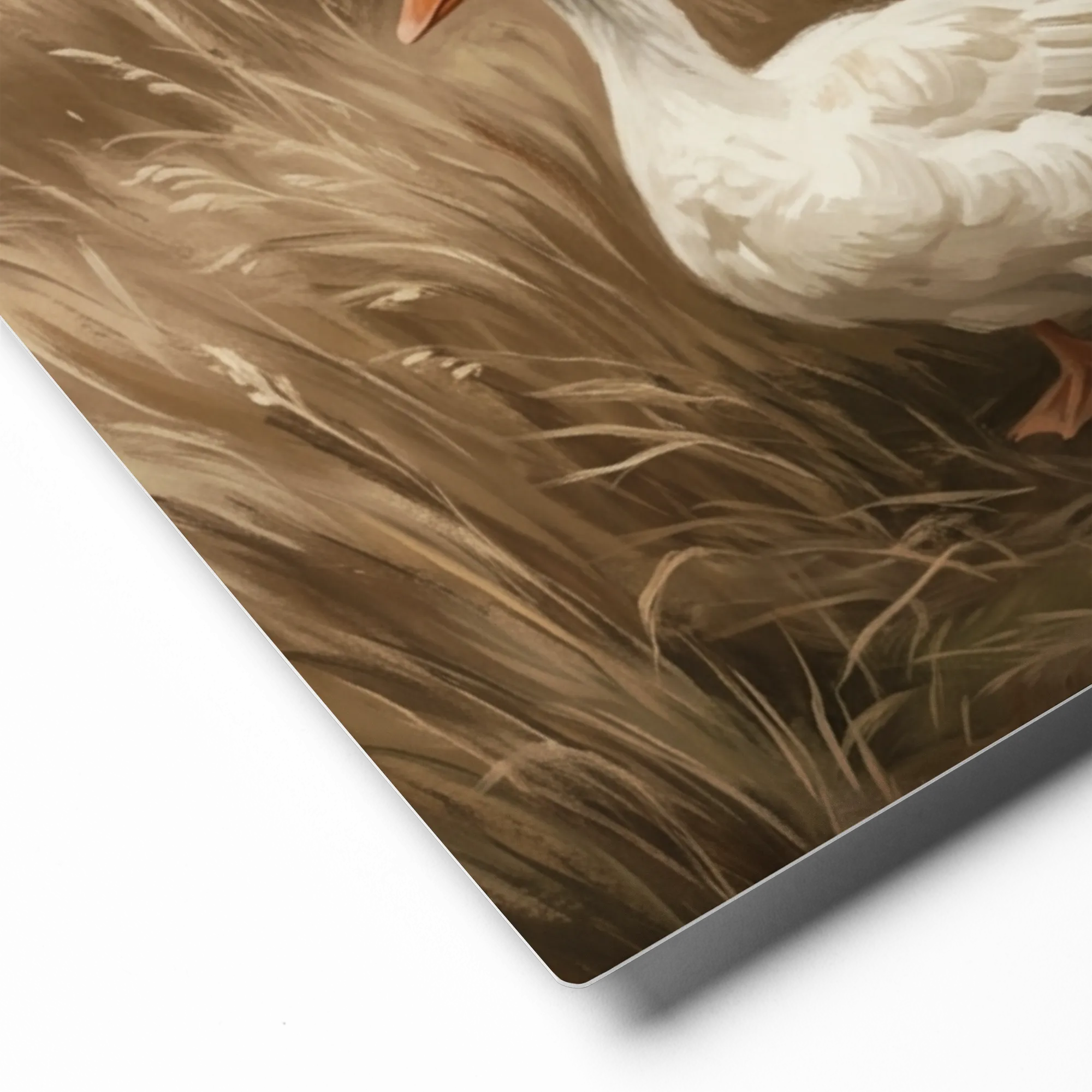 Geese in the Meadow | Art Print