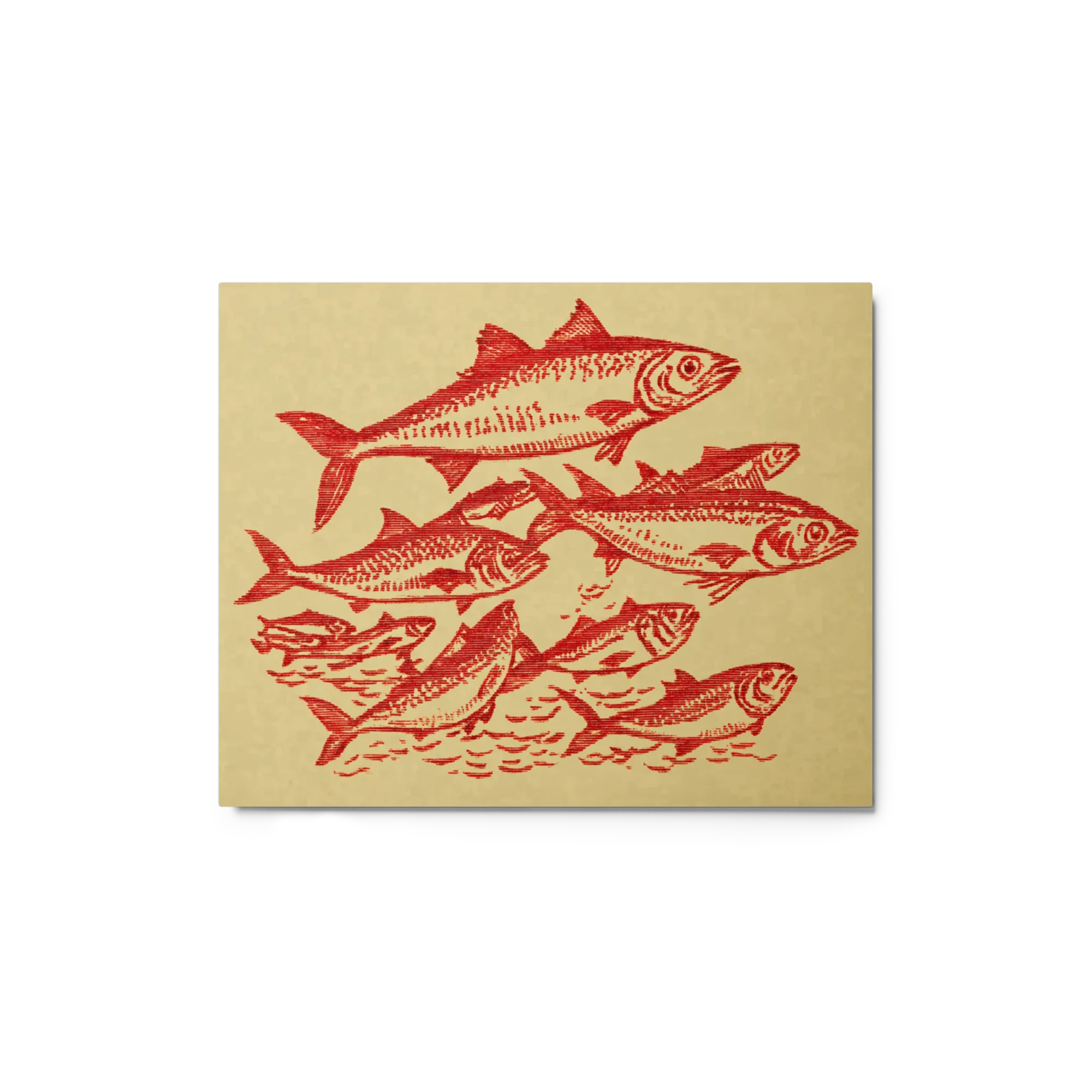 School of Red Fish
